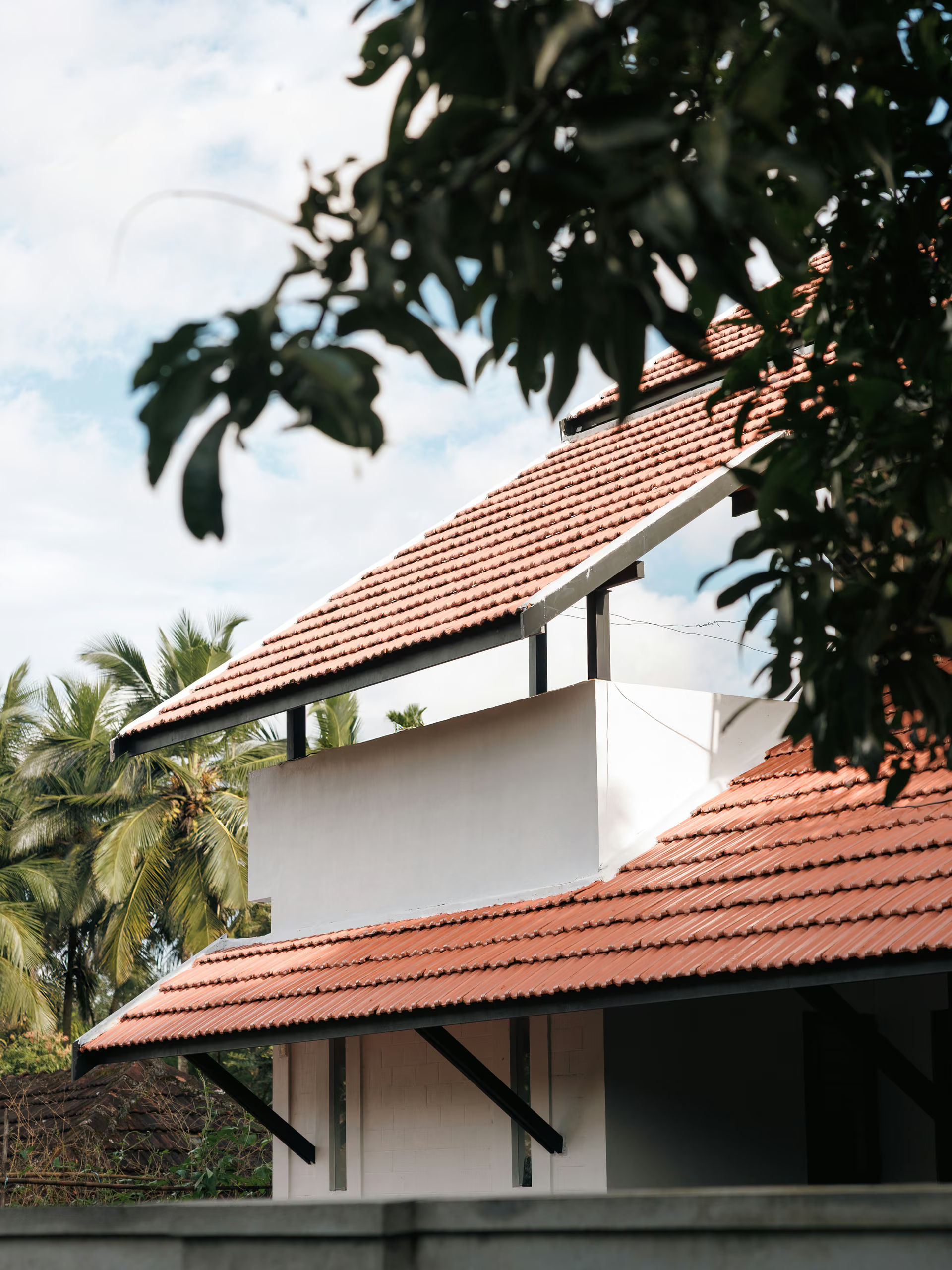 House Among the Groves