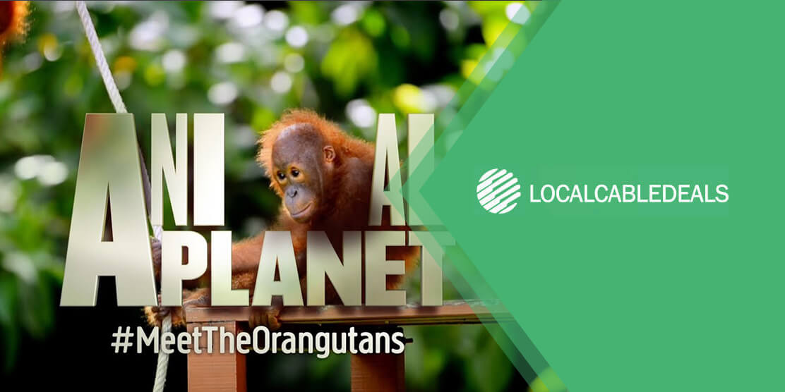 What Channel is Animal Planet on DirecTV? | Local Cable Deals