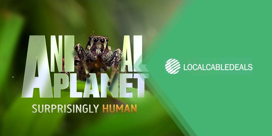 What Channel Number is Animal Planet on Suddenlink | Local Cable Deals