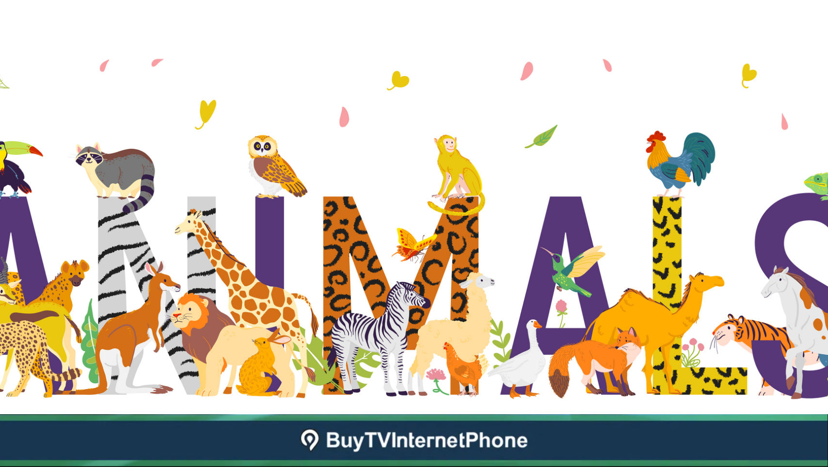What Channel is Animal Planet on Spectrum TV?