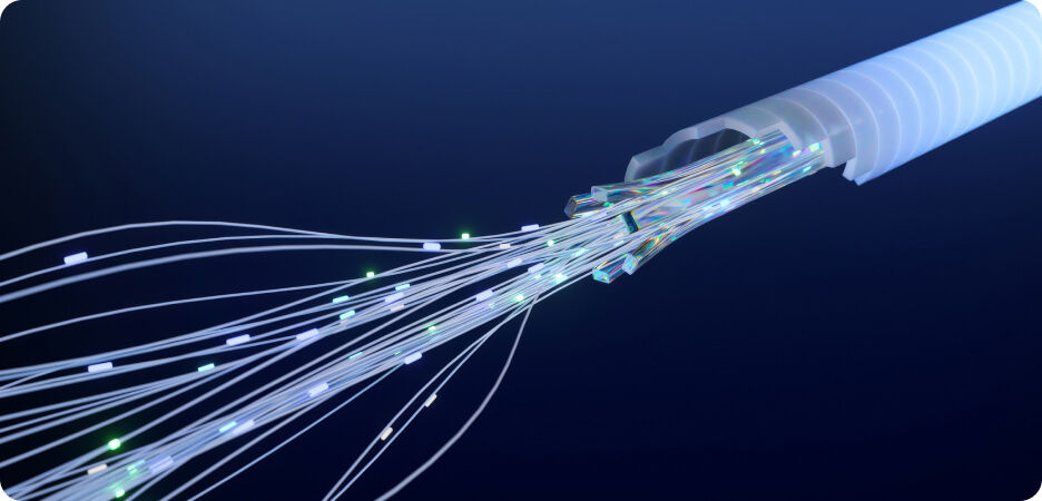 best connection for business internet image