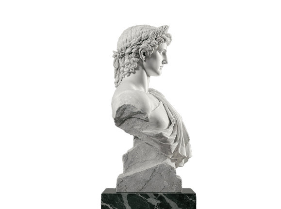 Classical marble bust back