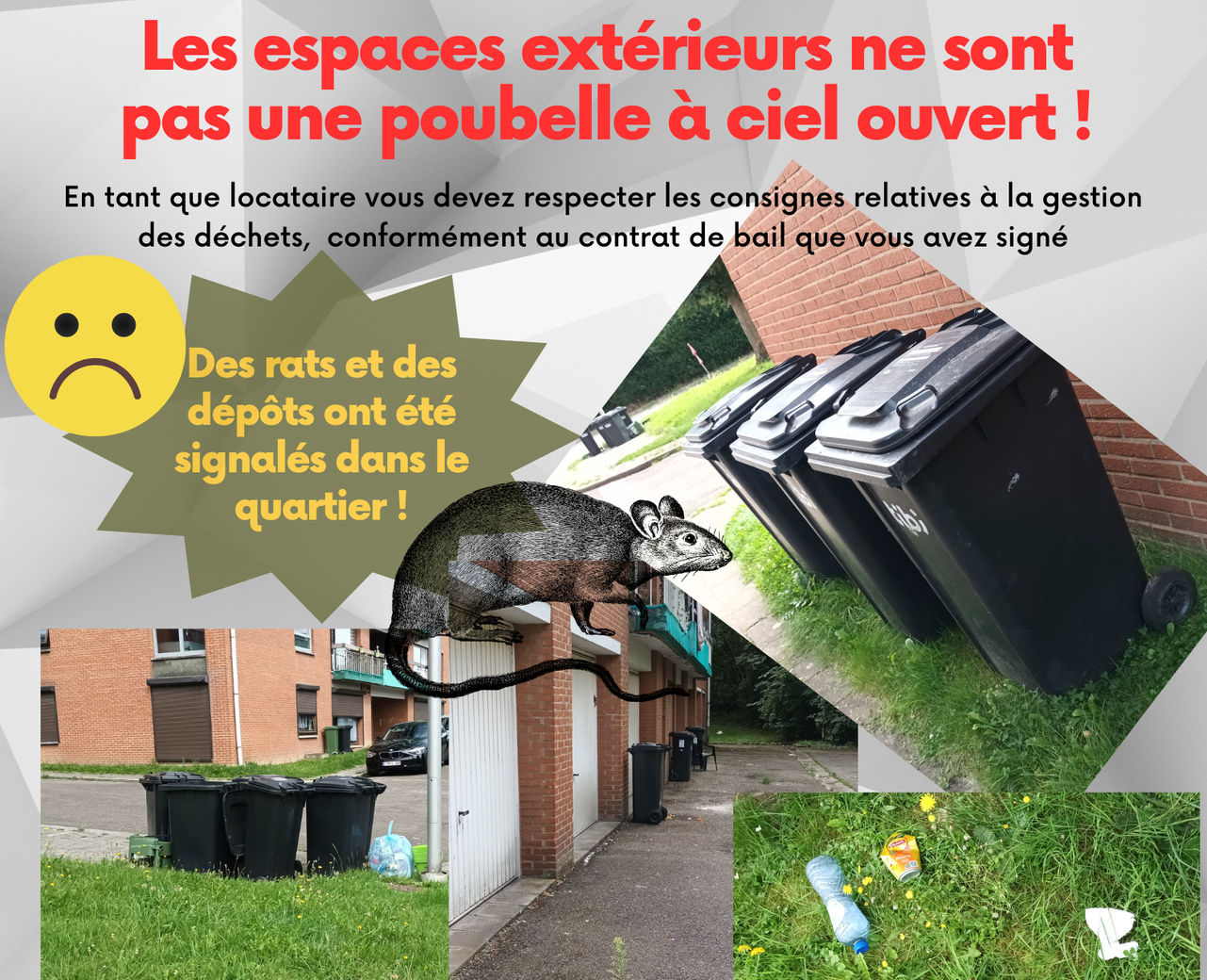 dépôts clandestins et poubelles non rentrées