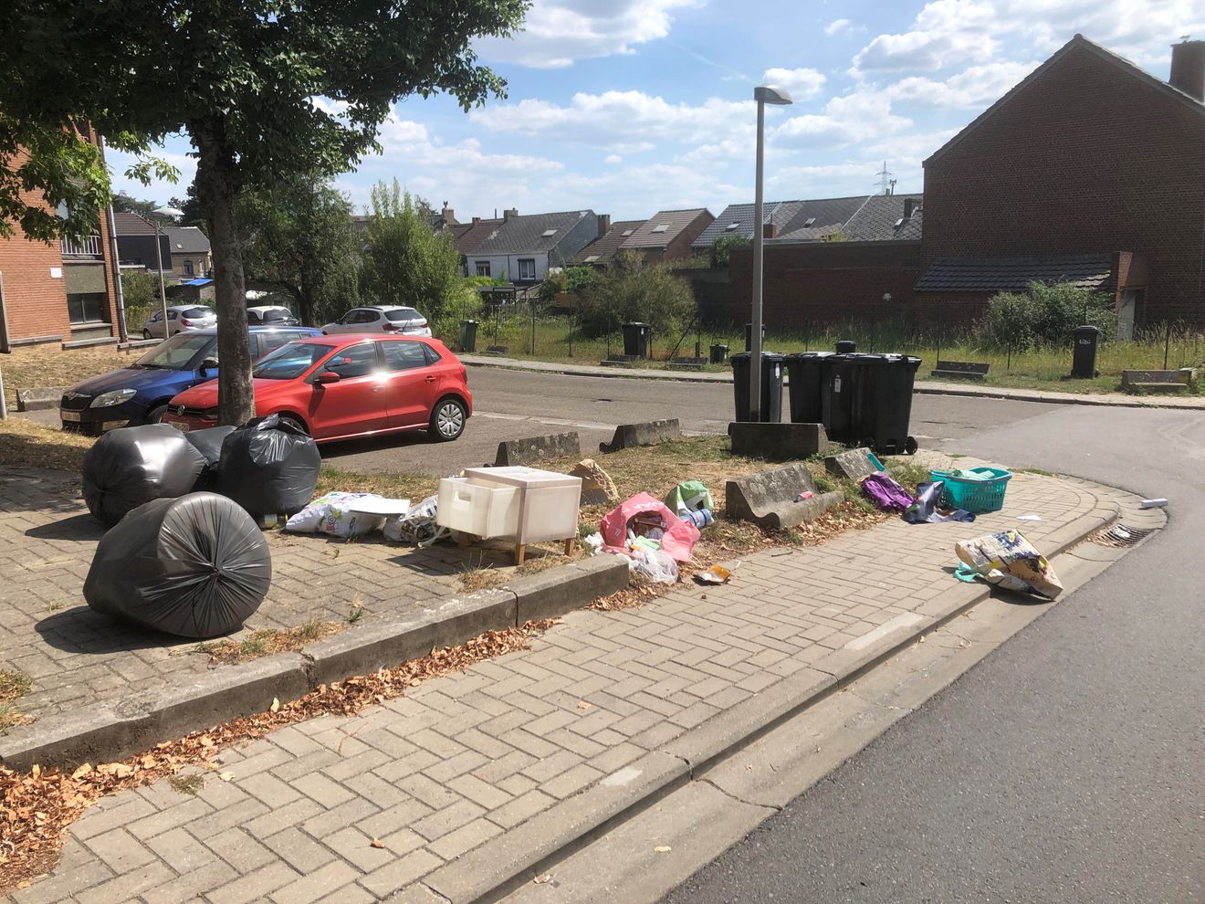 poubelles abandonnées