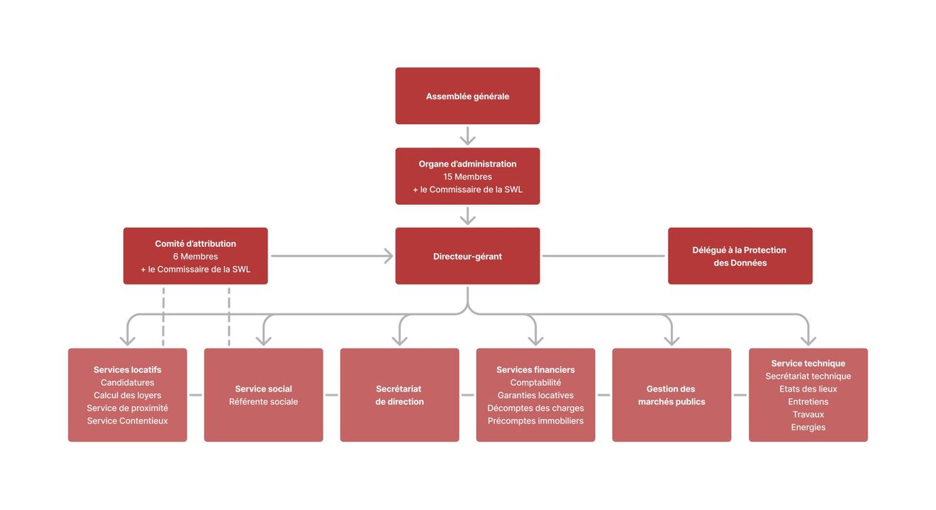 SLP - Organigramme