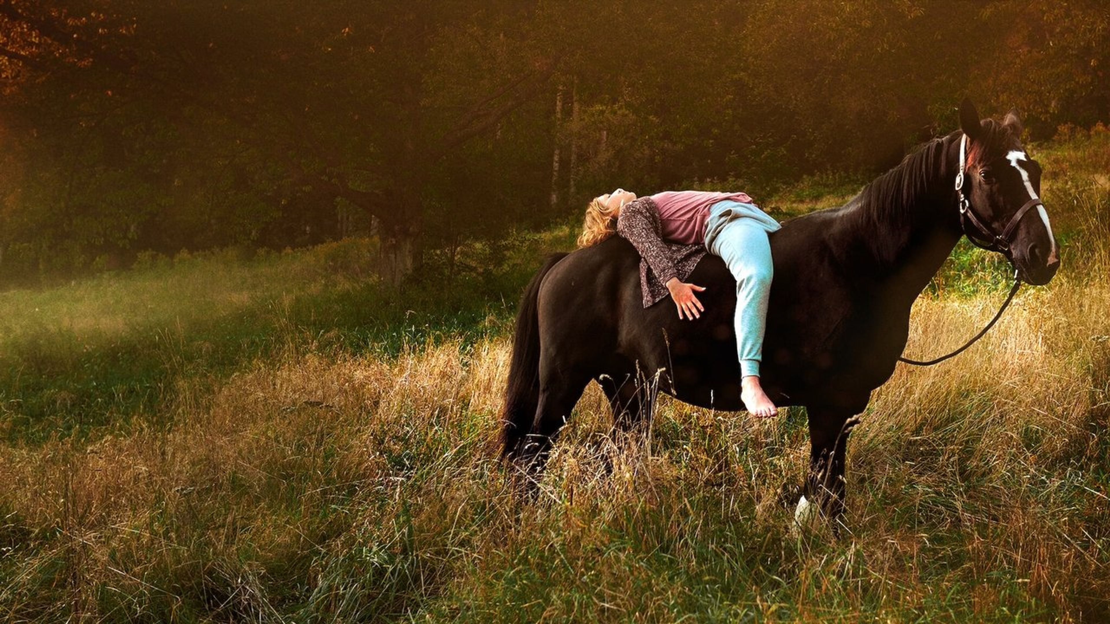 Backdrop of Rock My Heart