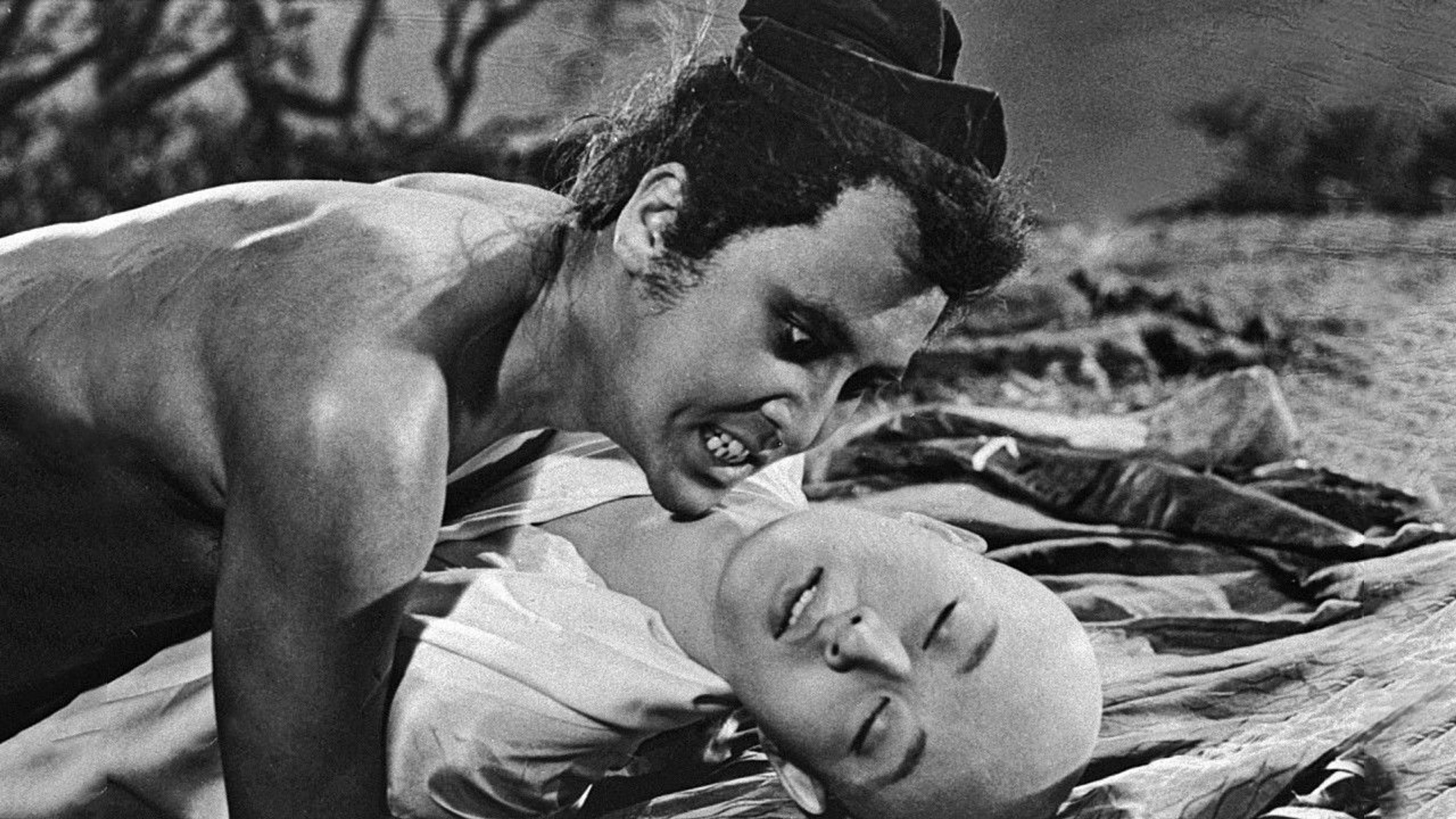 Backdrop of The Sharks