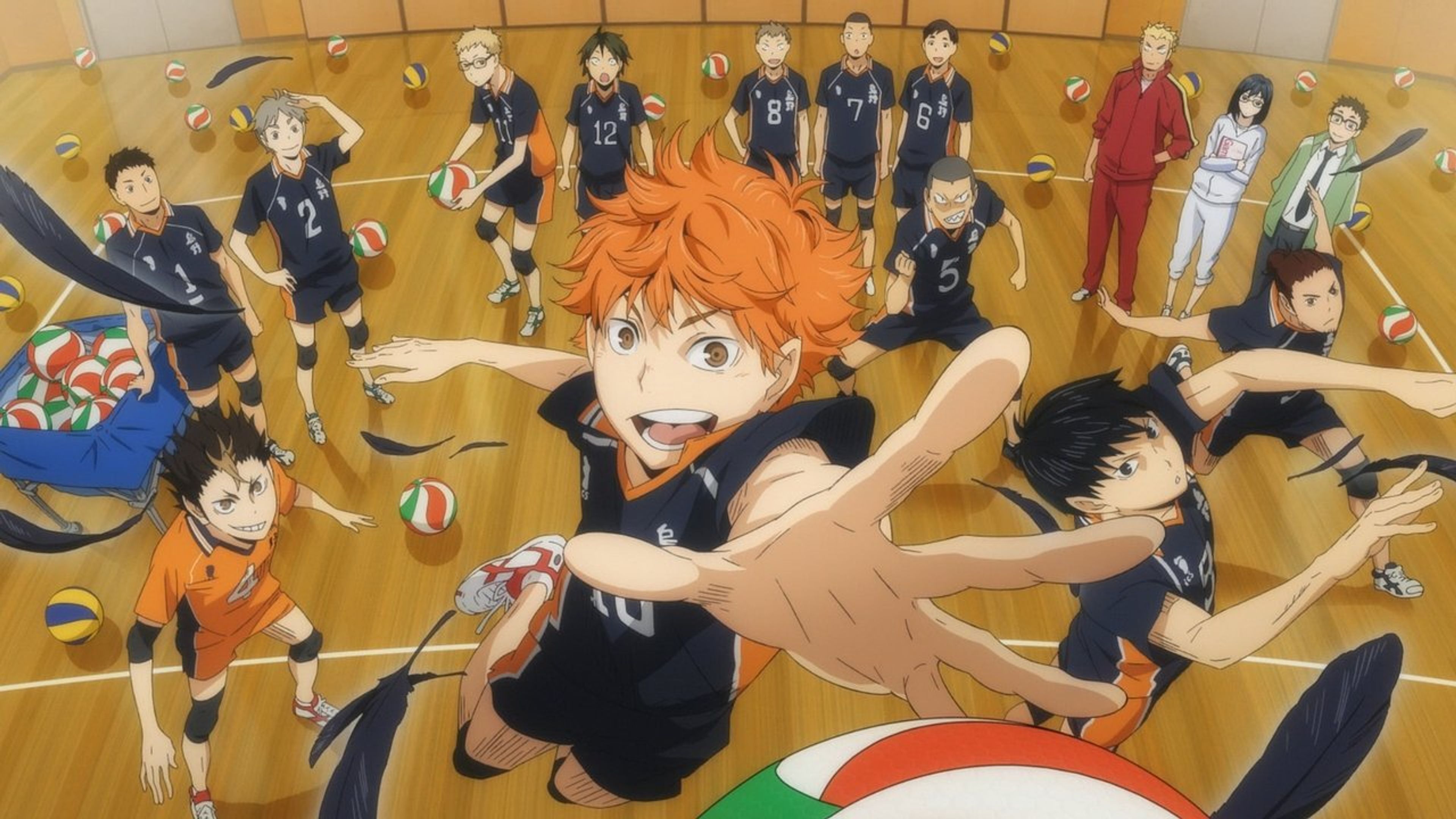 Backdrop of Haikyu!!