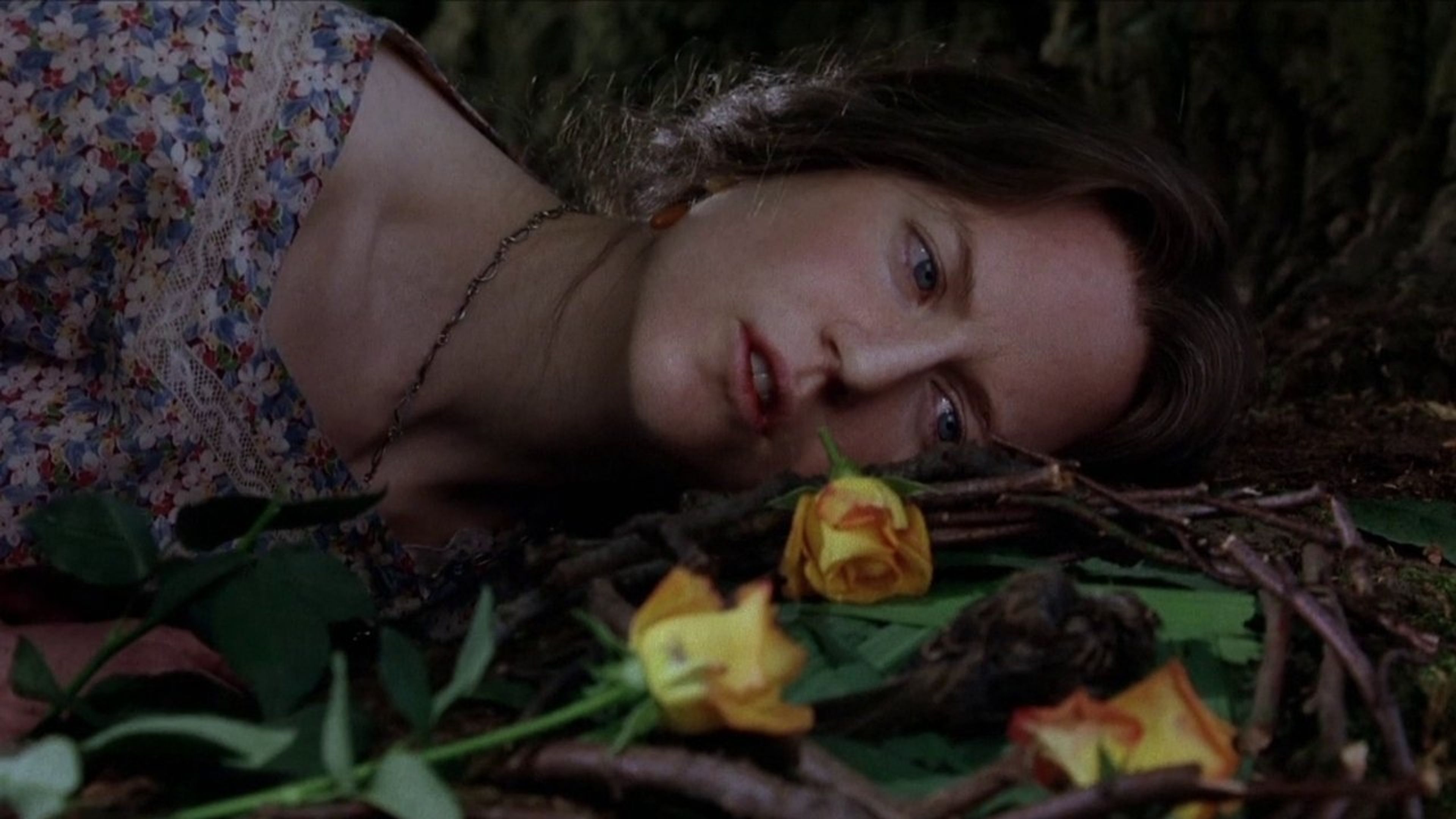 Backdrop of The Hours