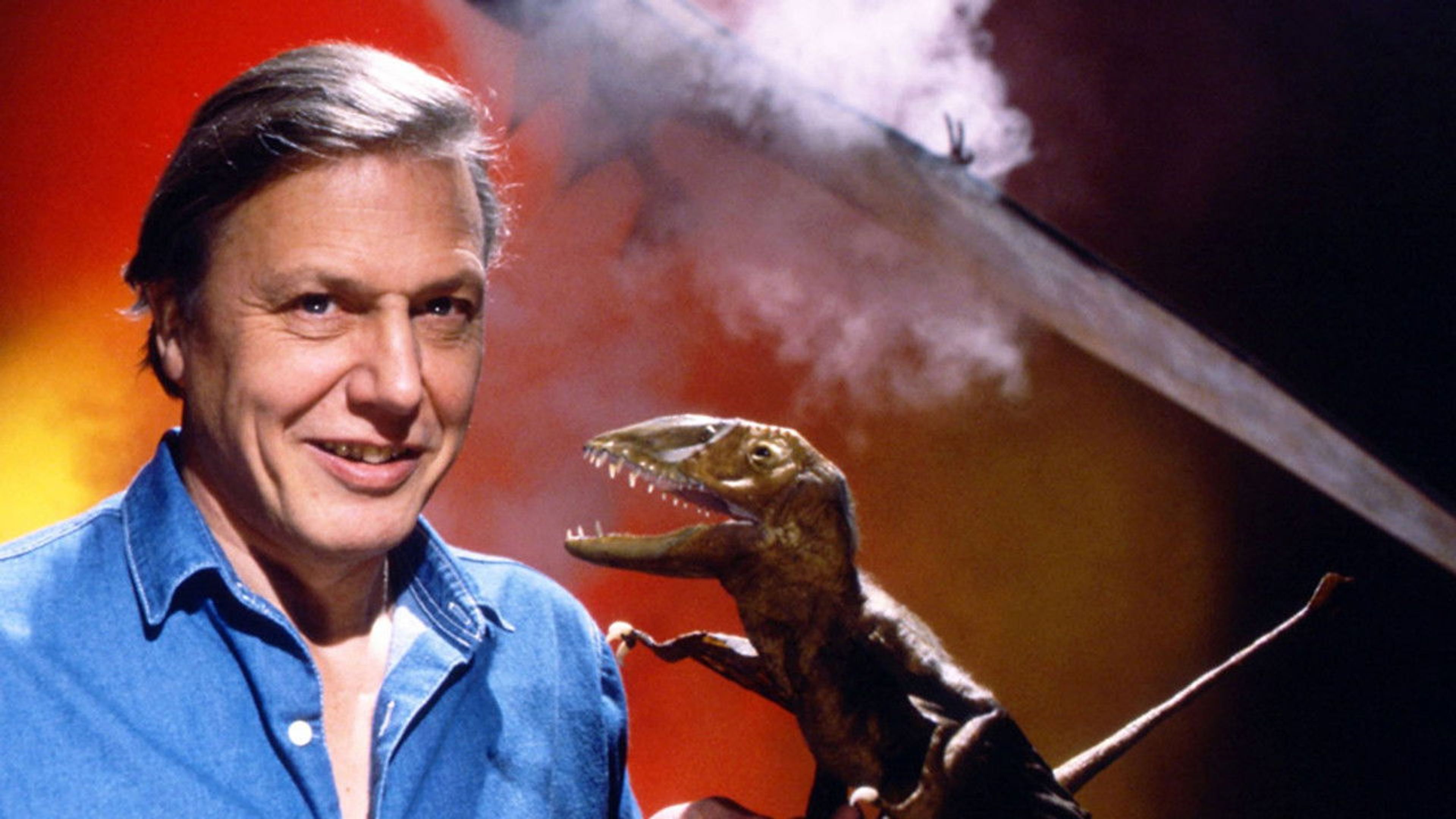 Backdrop of The World About Us