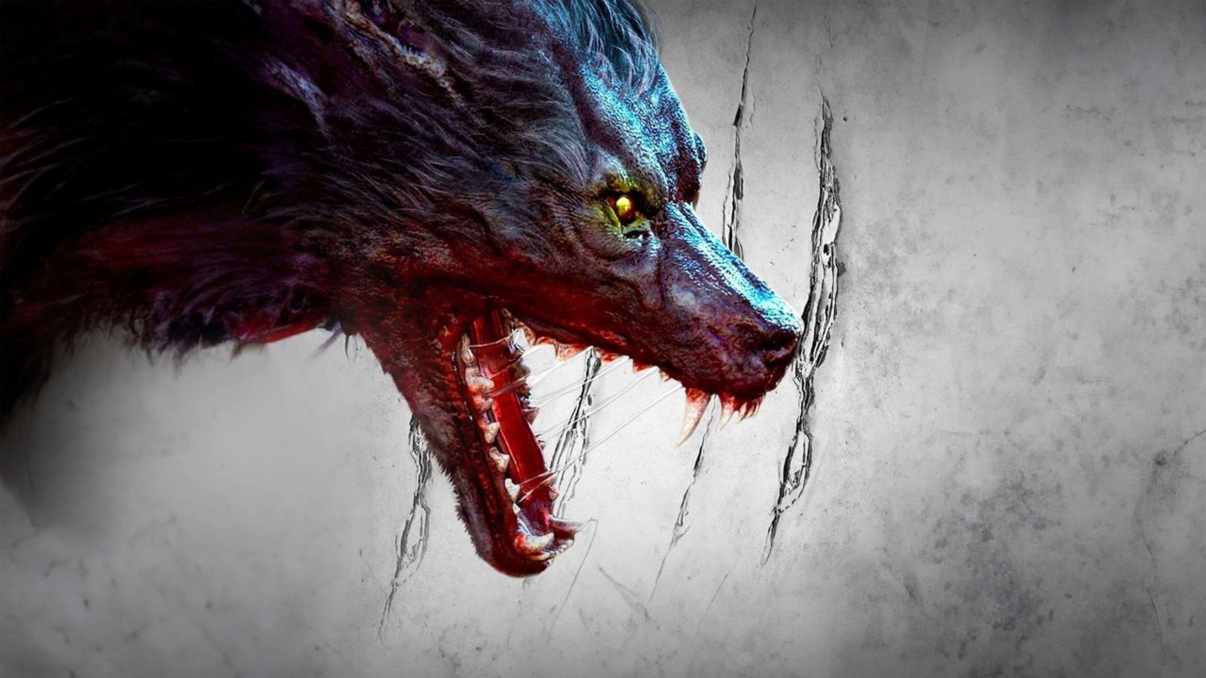 Backdrop of The Hunting