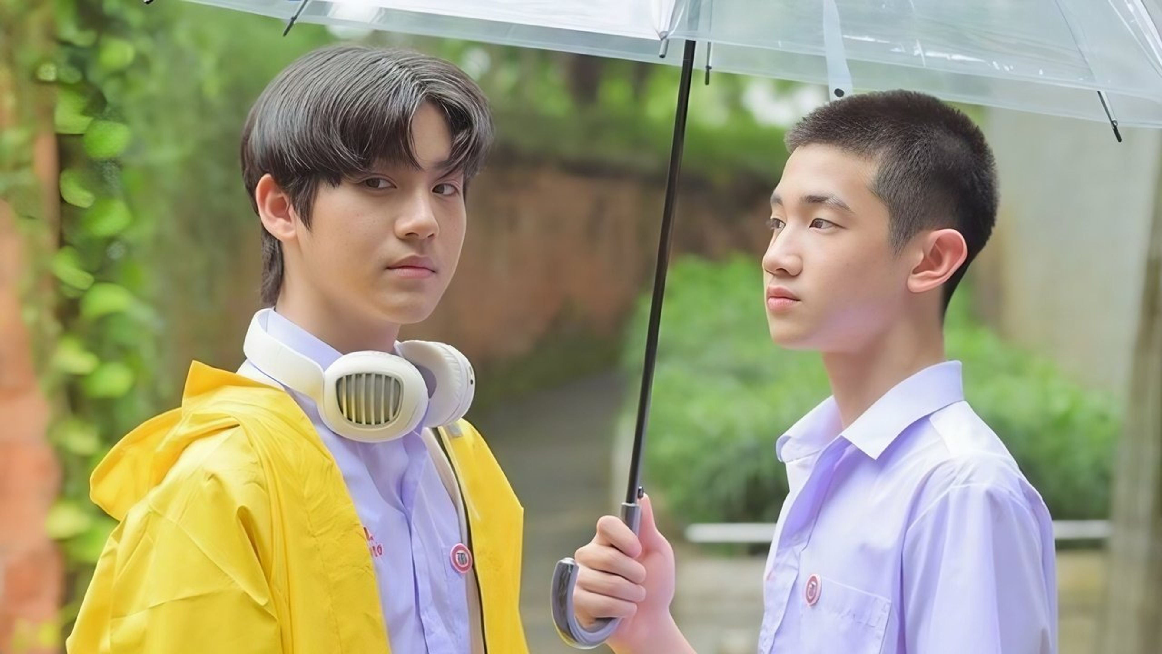 Backdrop of Love Sick