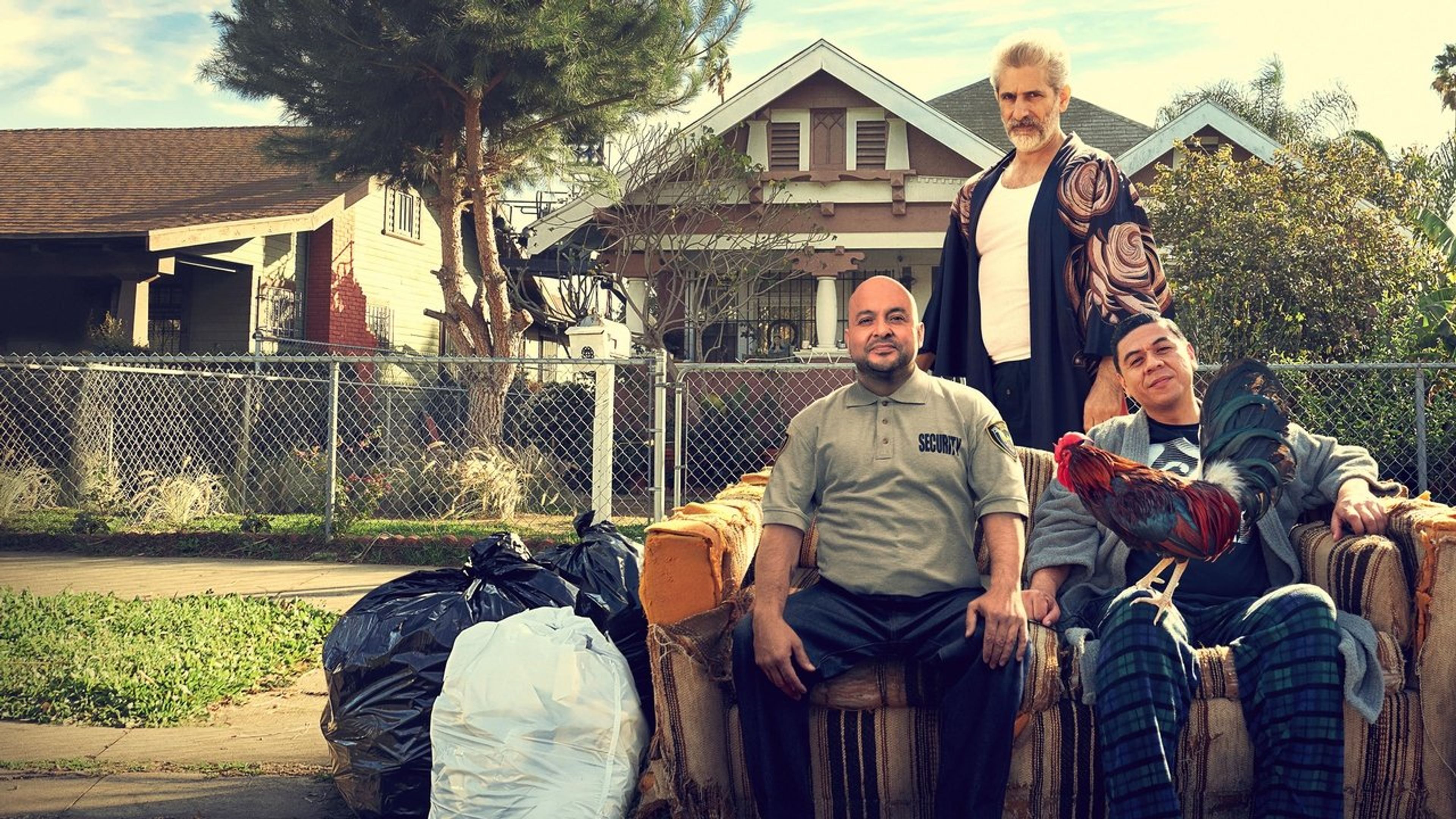 Backdrop of This Fool