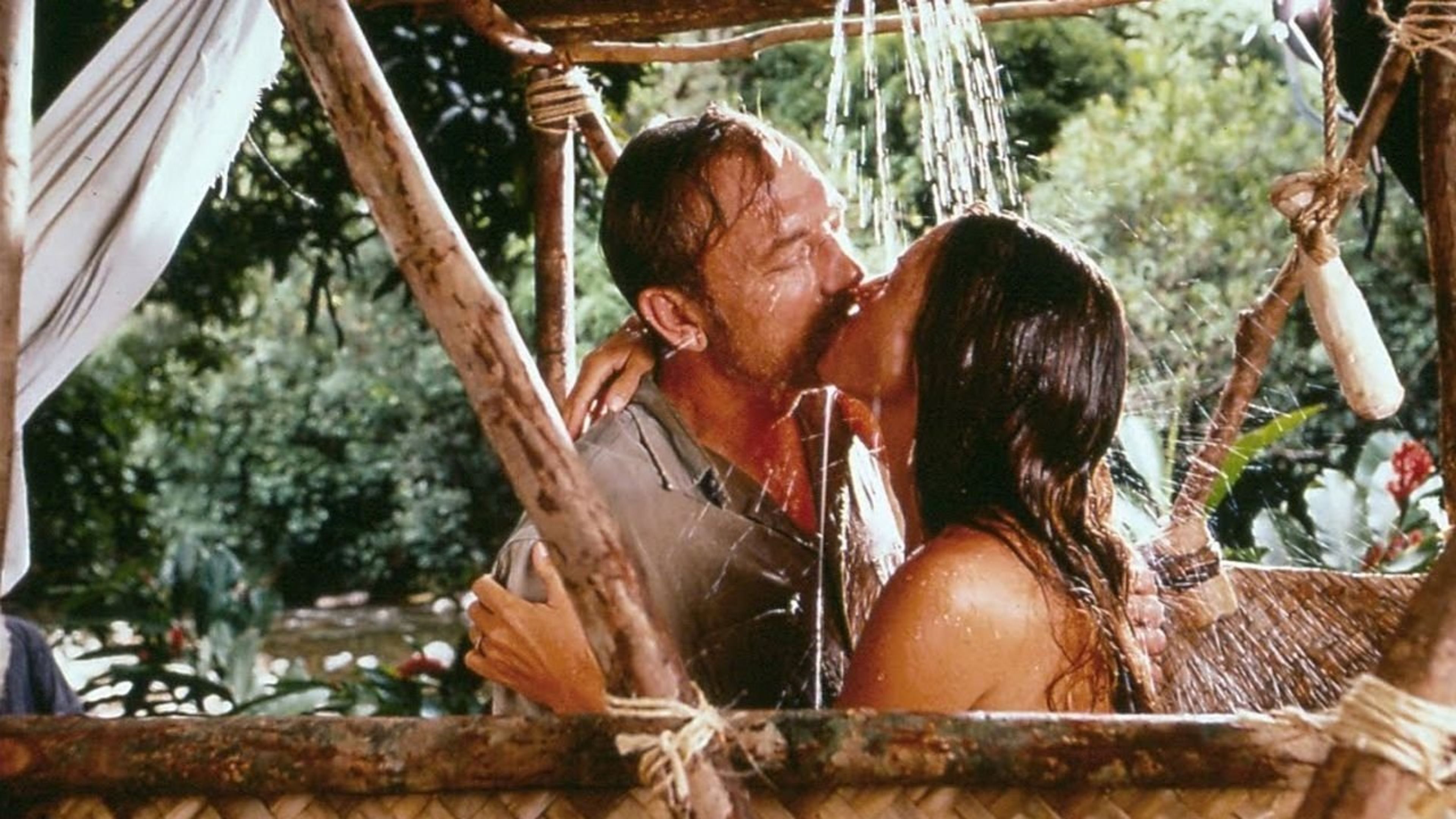 Backdrop of The New Swiss Family Robinson