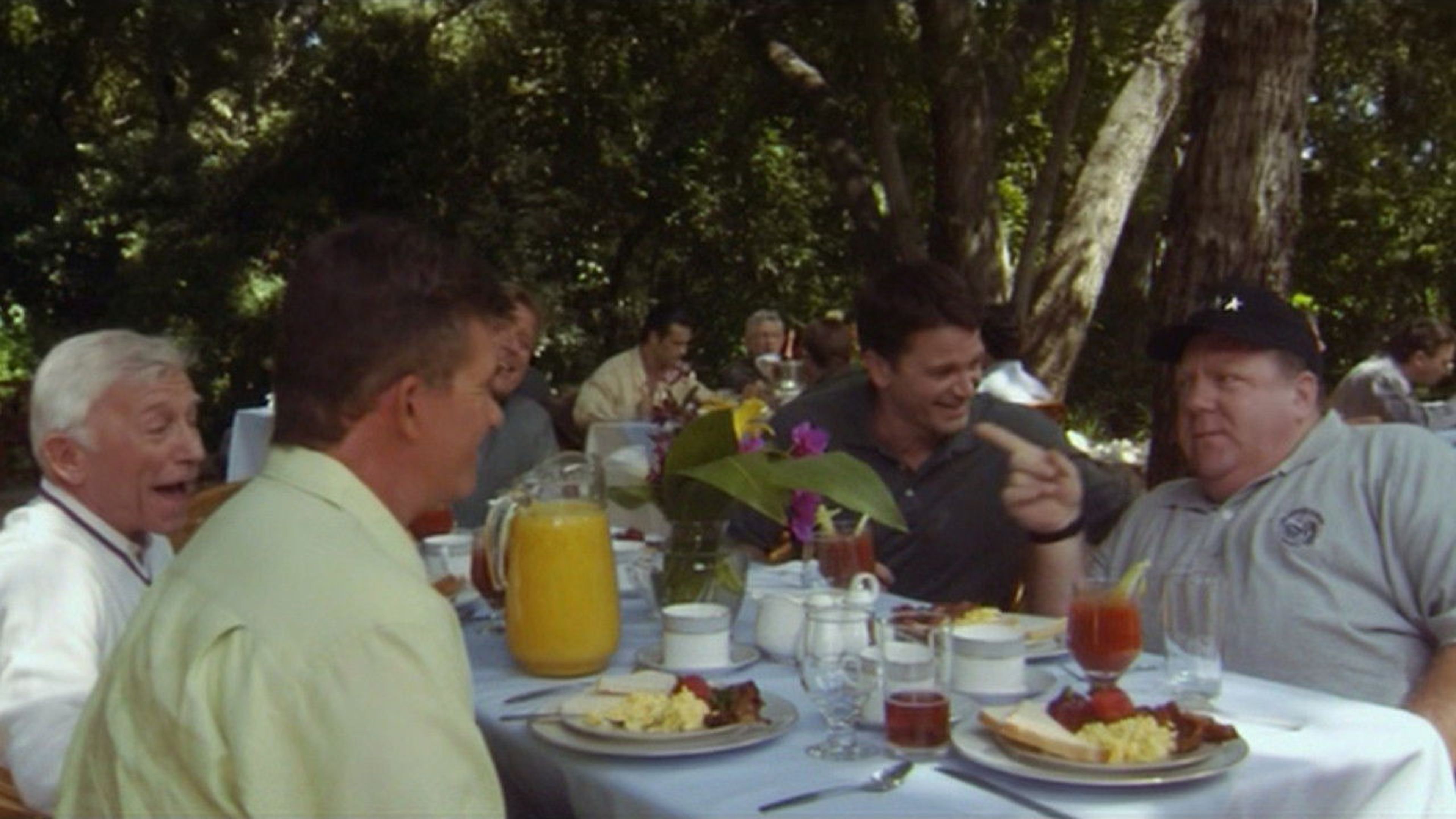 Backdrop of Teddy Bears' Picnic