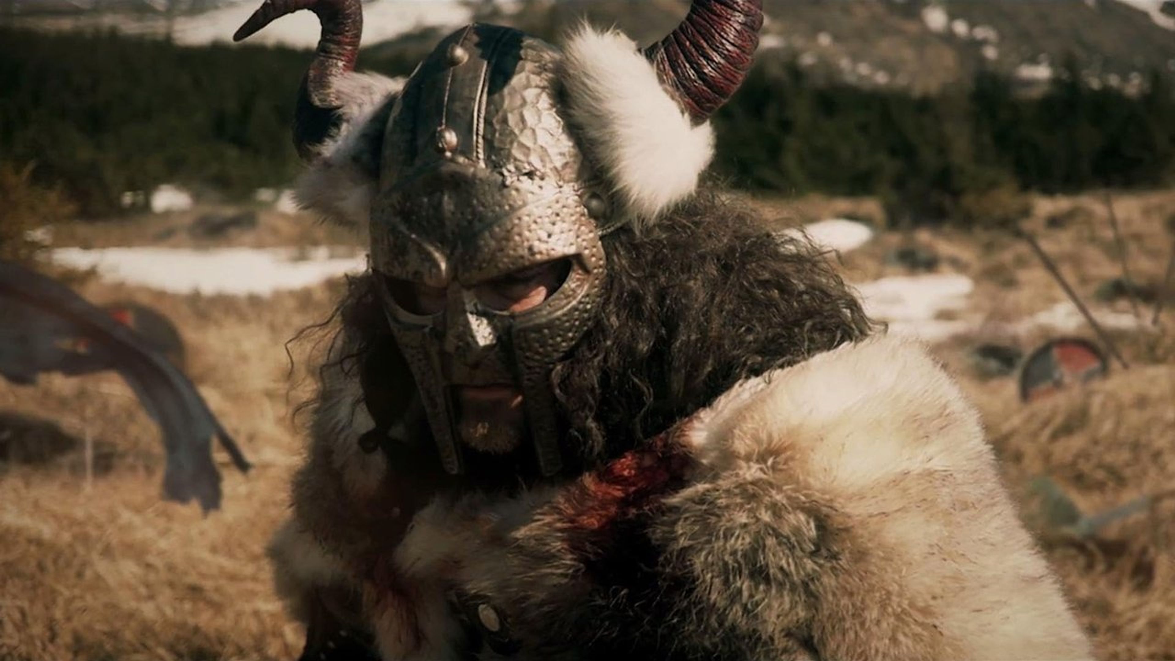 Backdrop of The Fallen