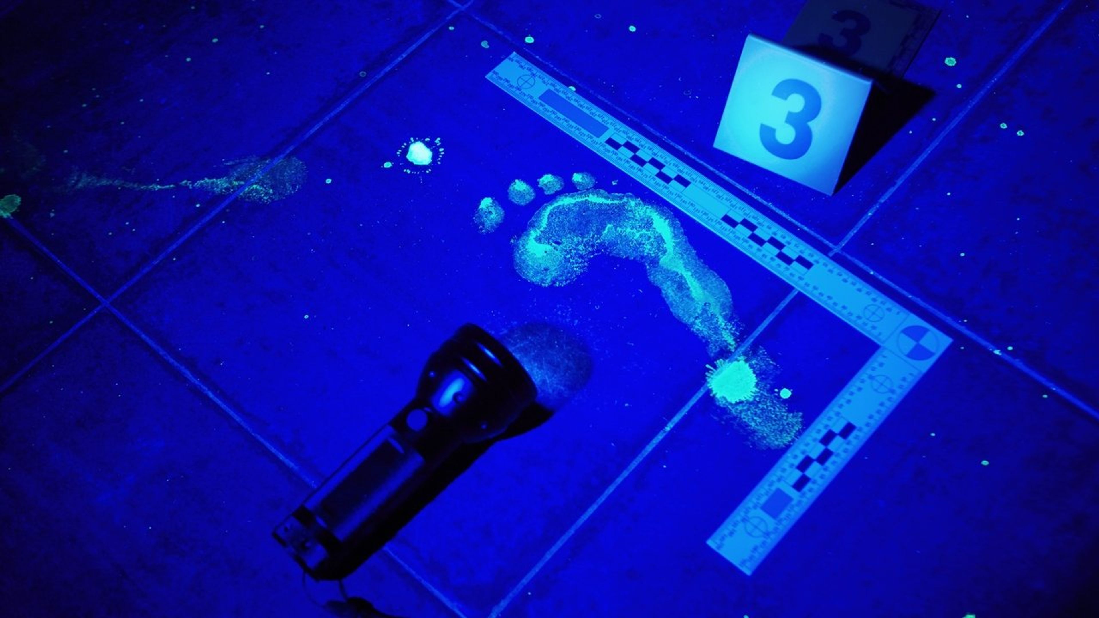 Backdrop of Forensic Files