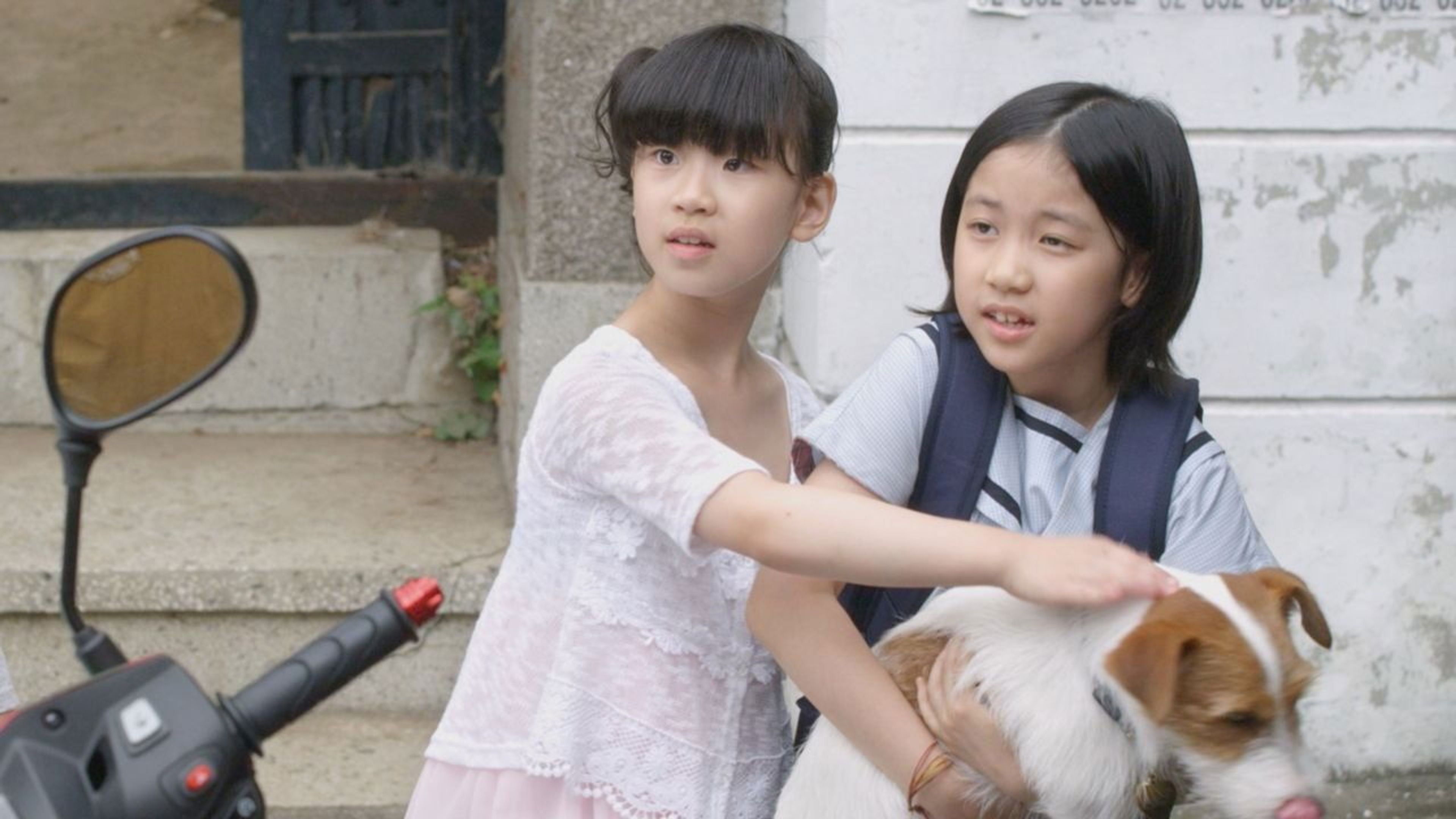 Backdrop of How to Steal a Dog