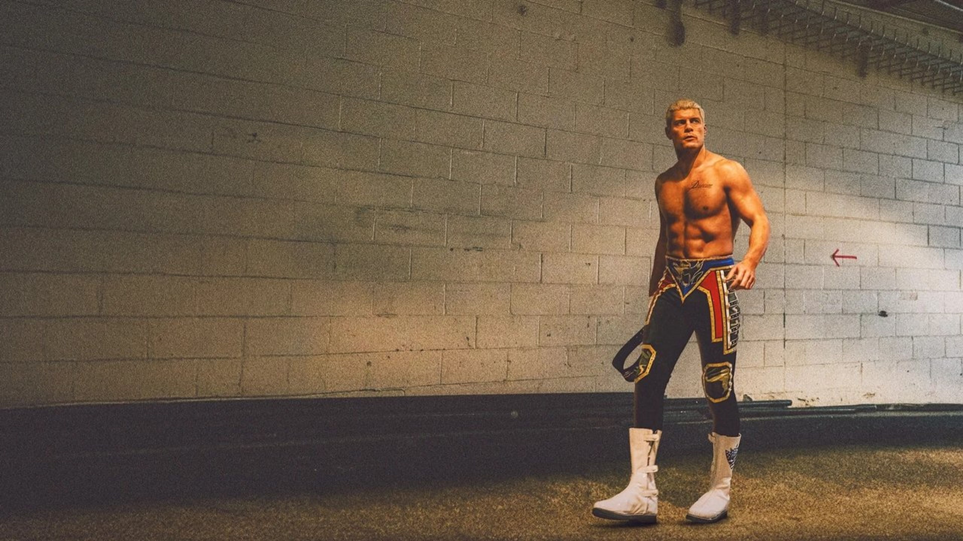 Backdrop of WWE: Unreal