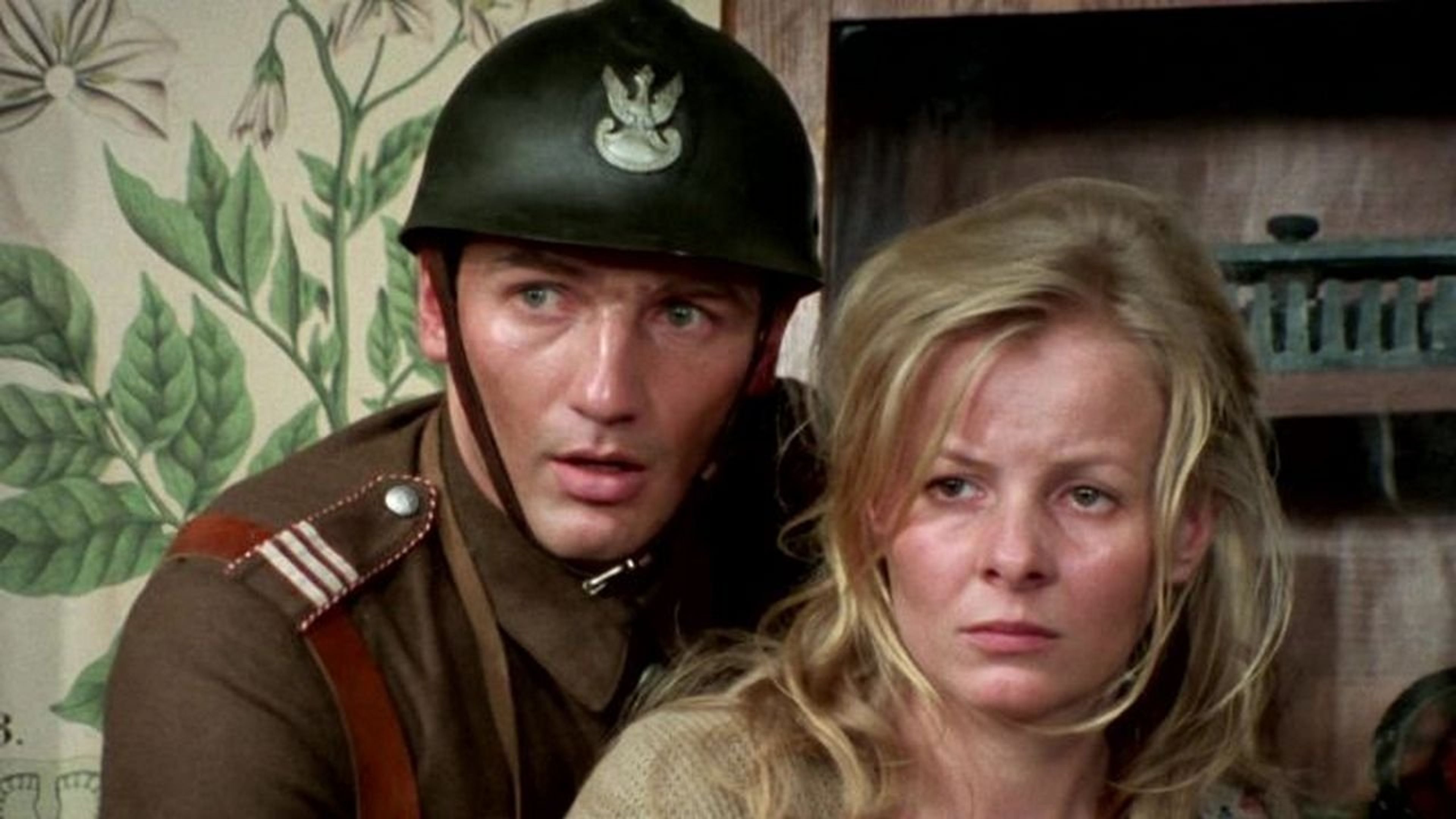 Backdrop of Polskie drogi