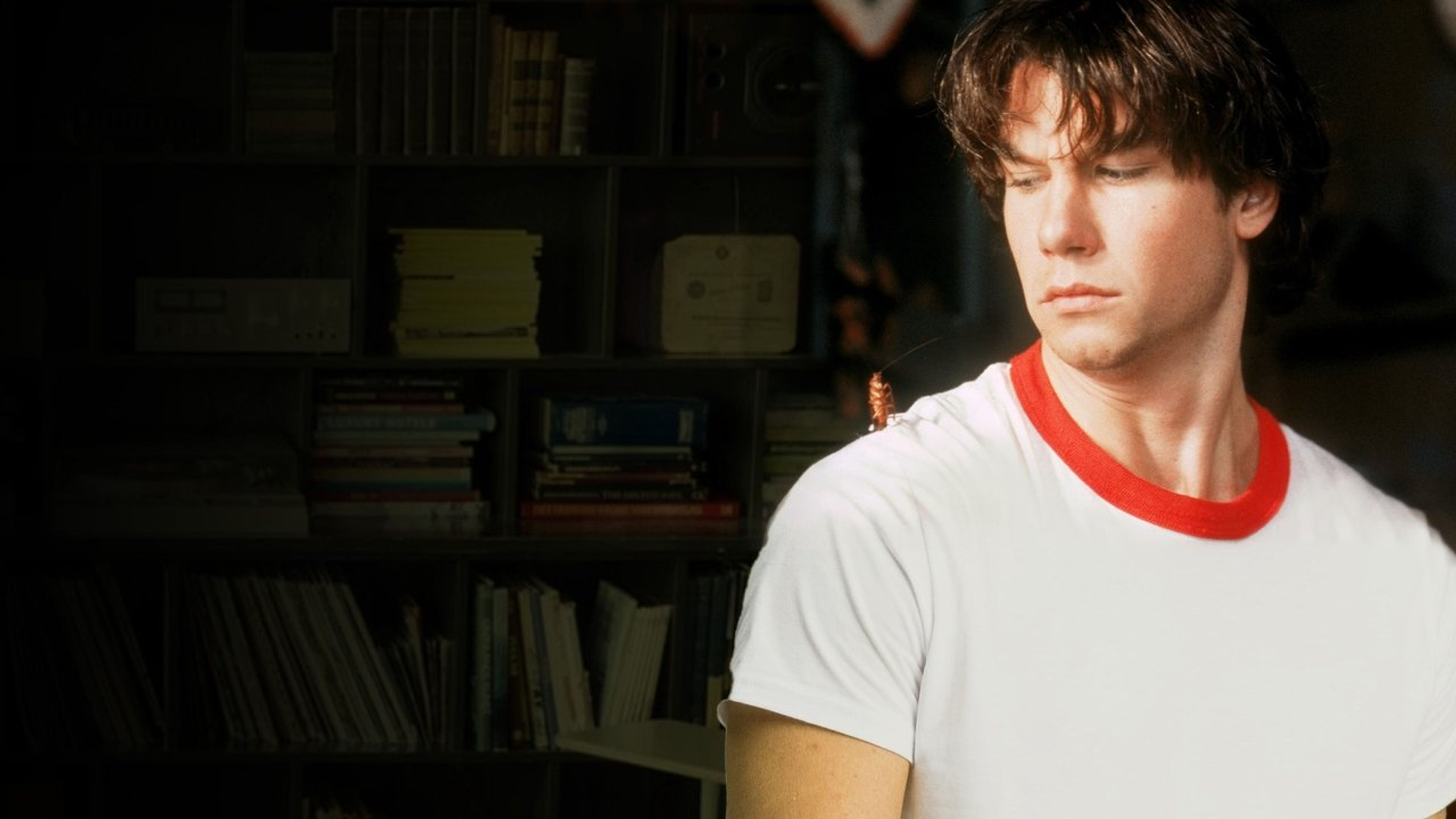 Backdrop of Joe's Apartment