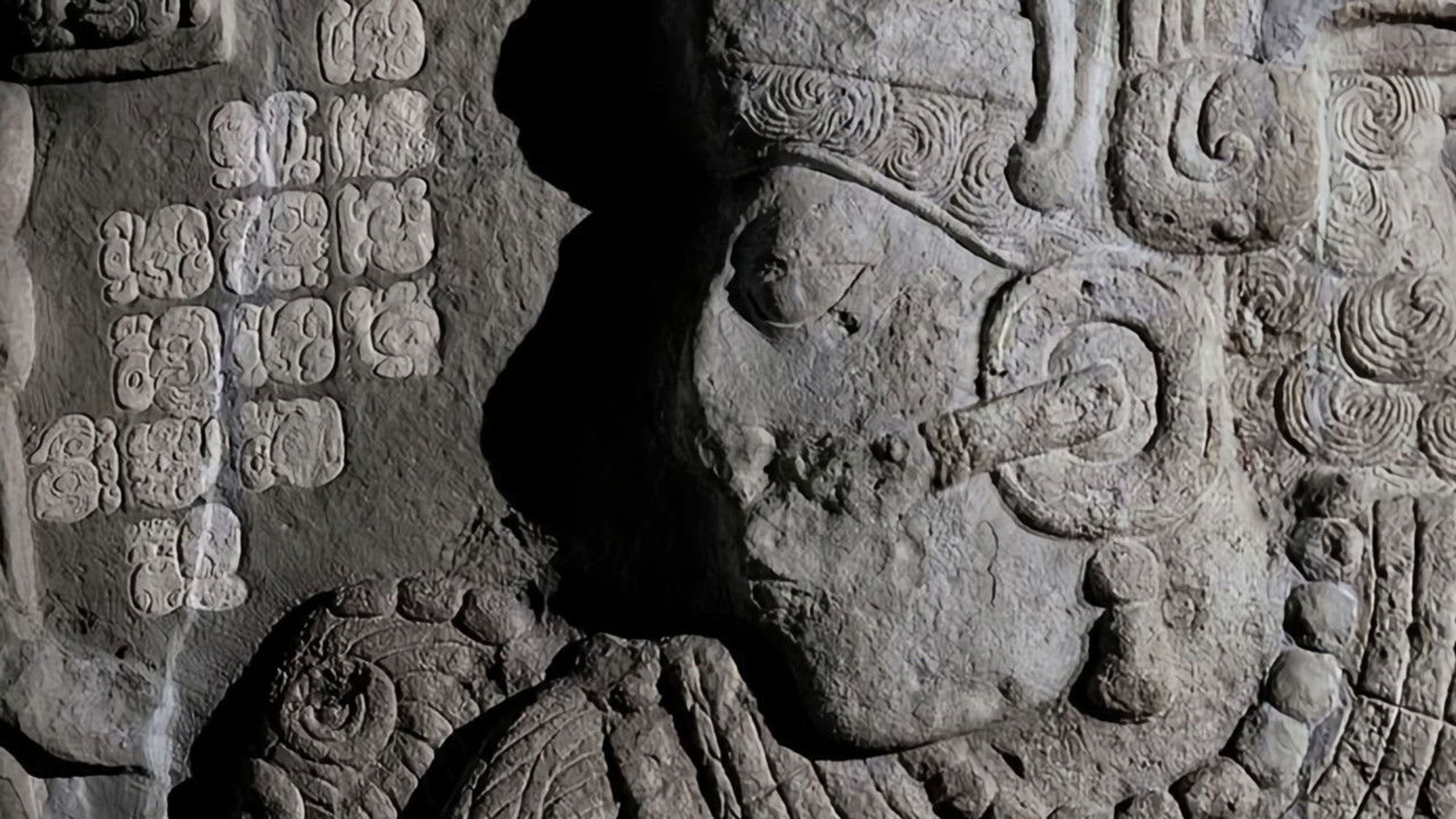 Backdrop of Breaking the Maya Code