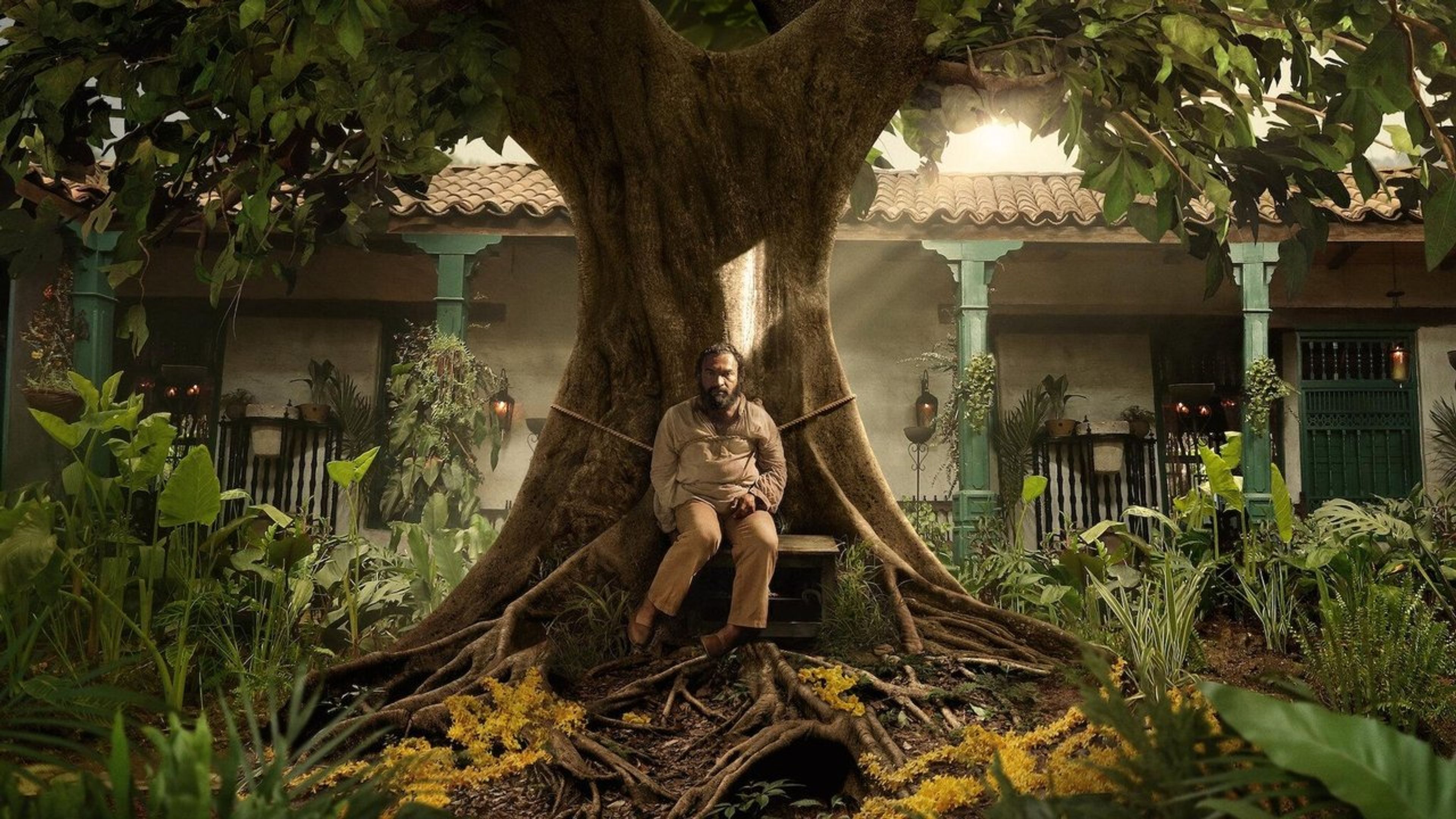 Backdrop of One Hundred Years of Solitude