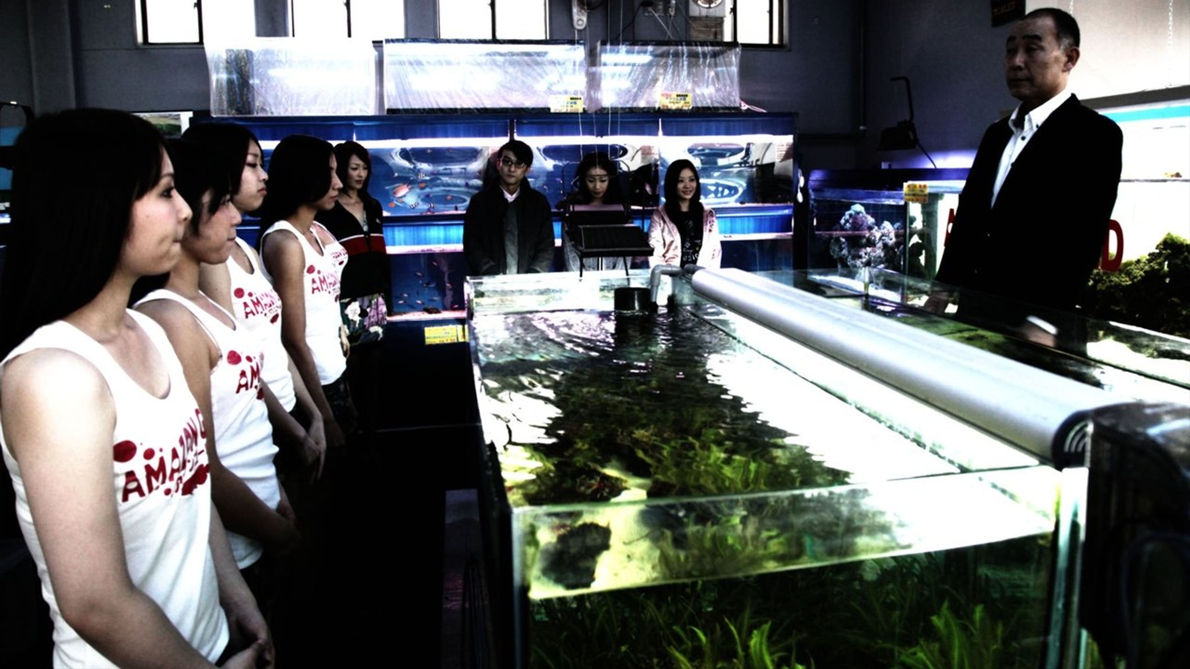 Backdrop of Cold Fish