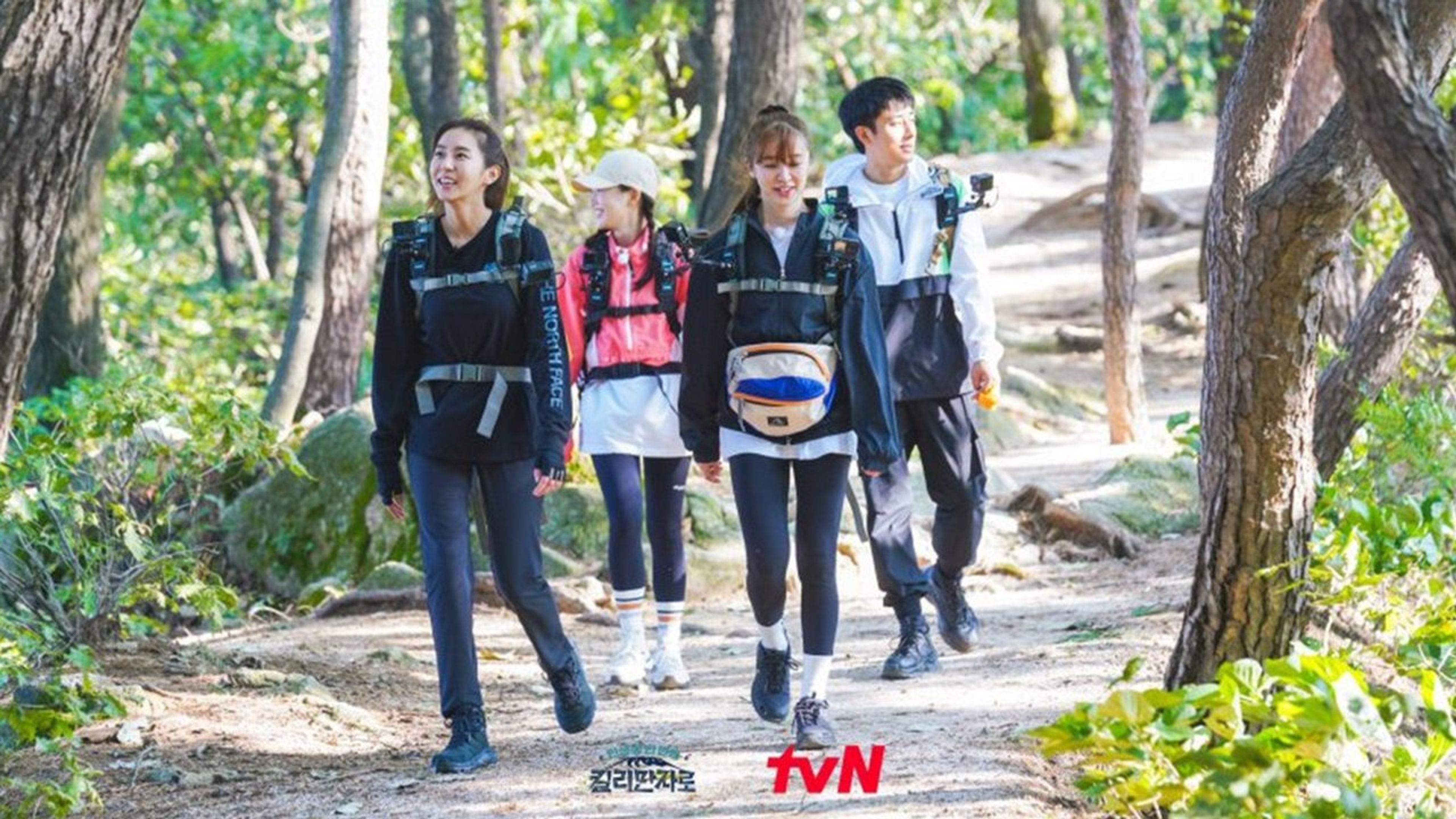 Backdrop of Climbing Kilimanjaro: Once-in-a Lifetime Experience