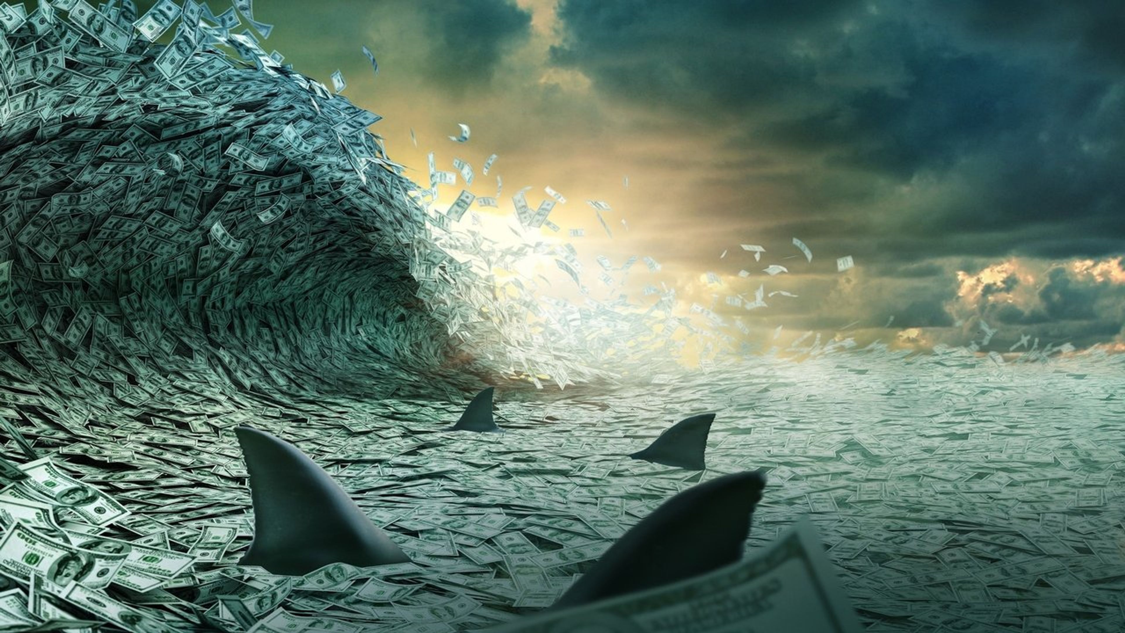 Backdrop of Shark Tank