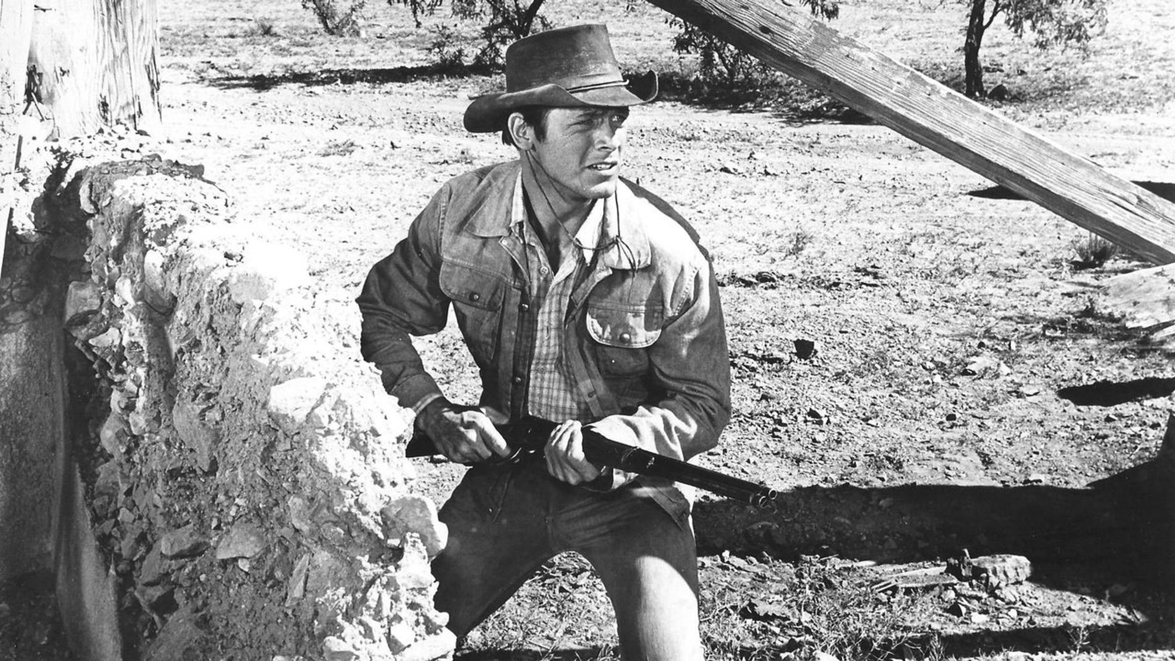 Backdrop of Return of the Gunfighter