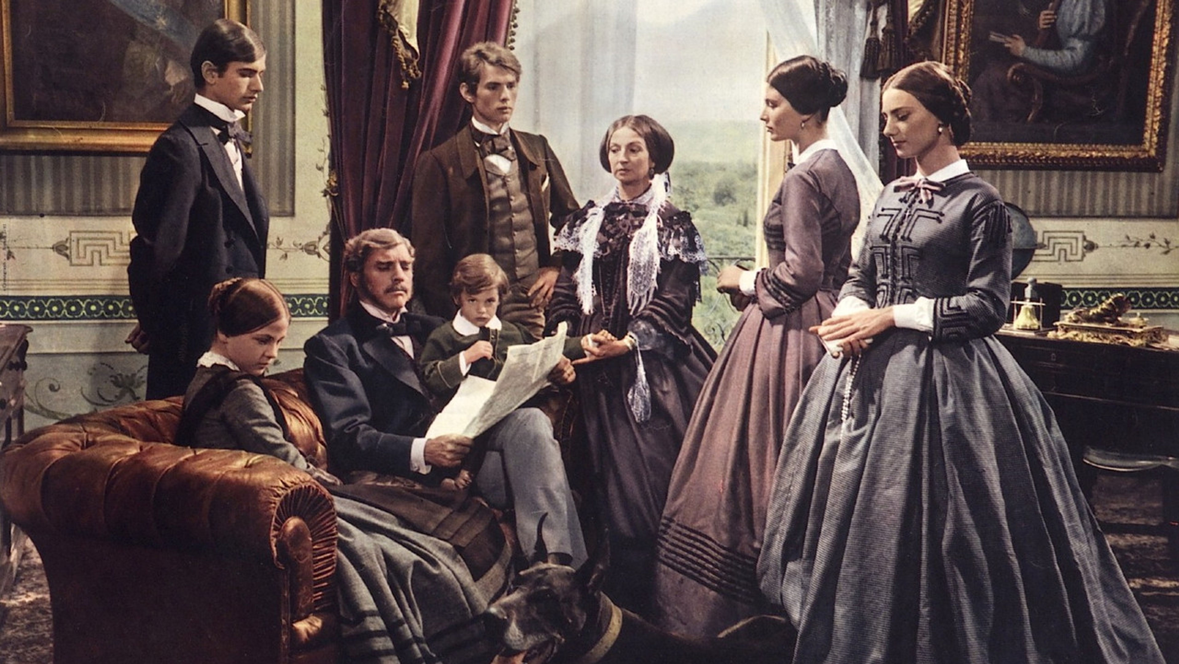 Backdrop of The Leopard