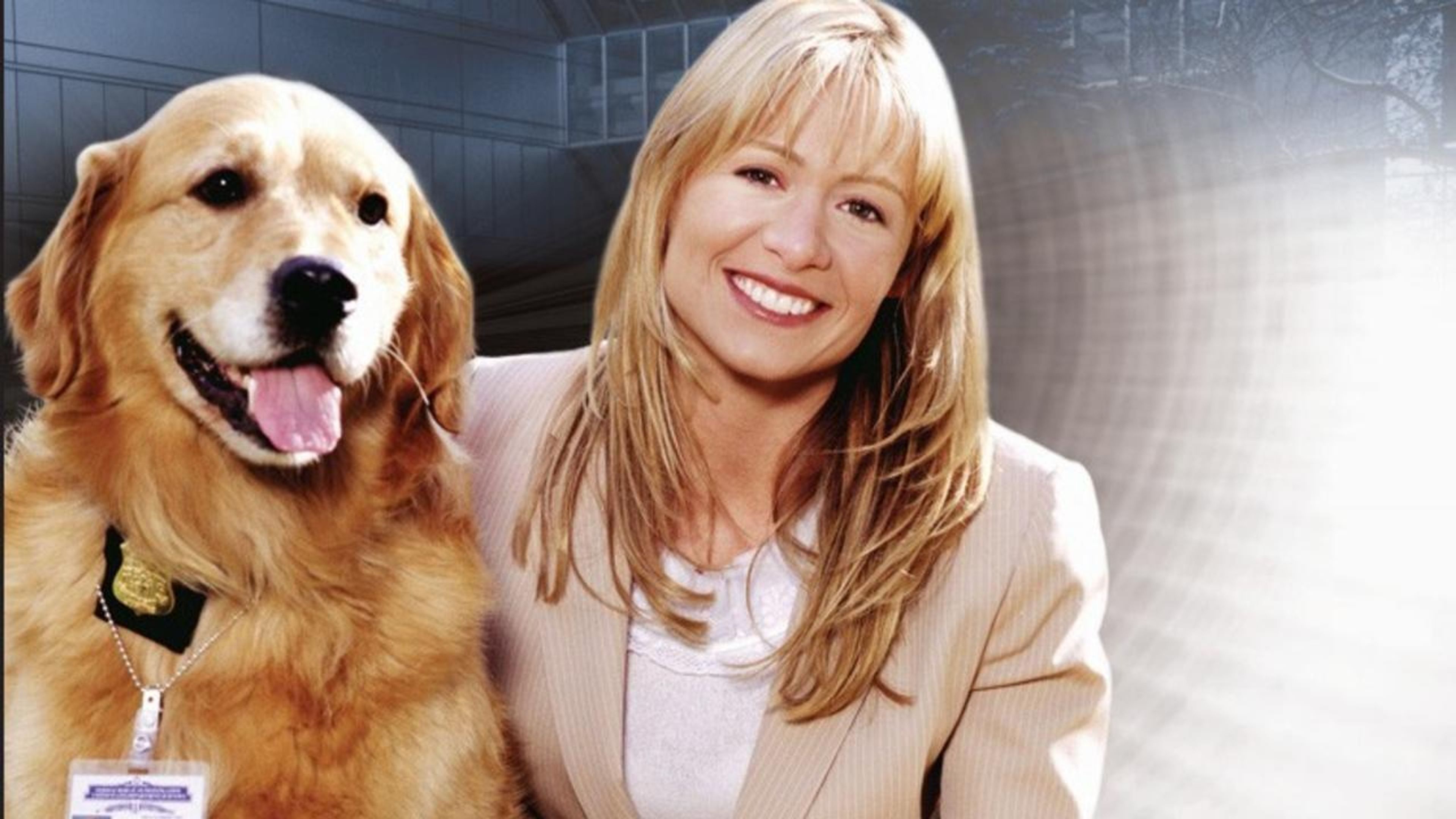 Backdrop of Sue Thomas: F.B.Eye