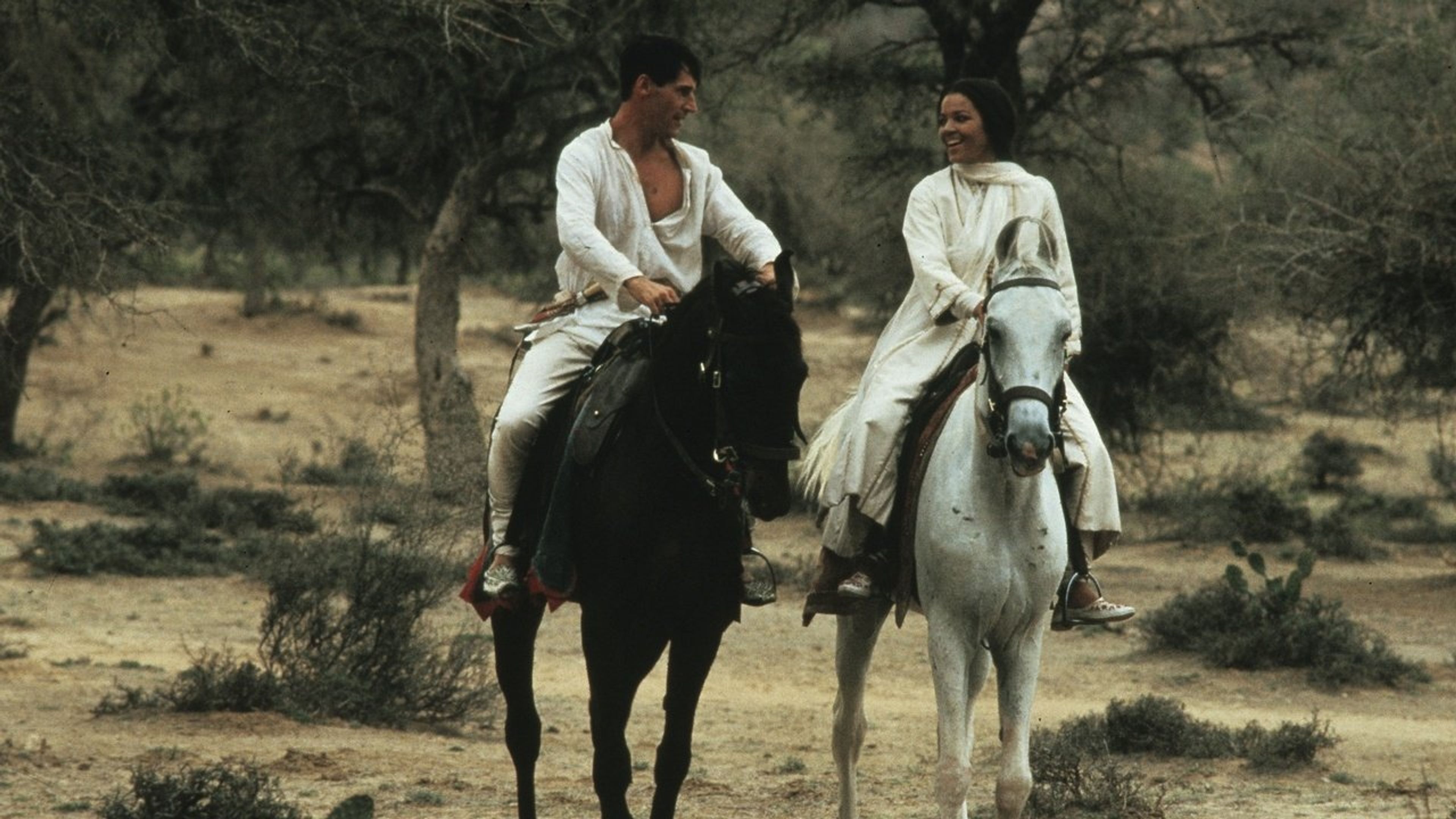 Backdrop of The Far Pavilions