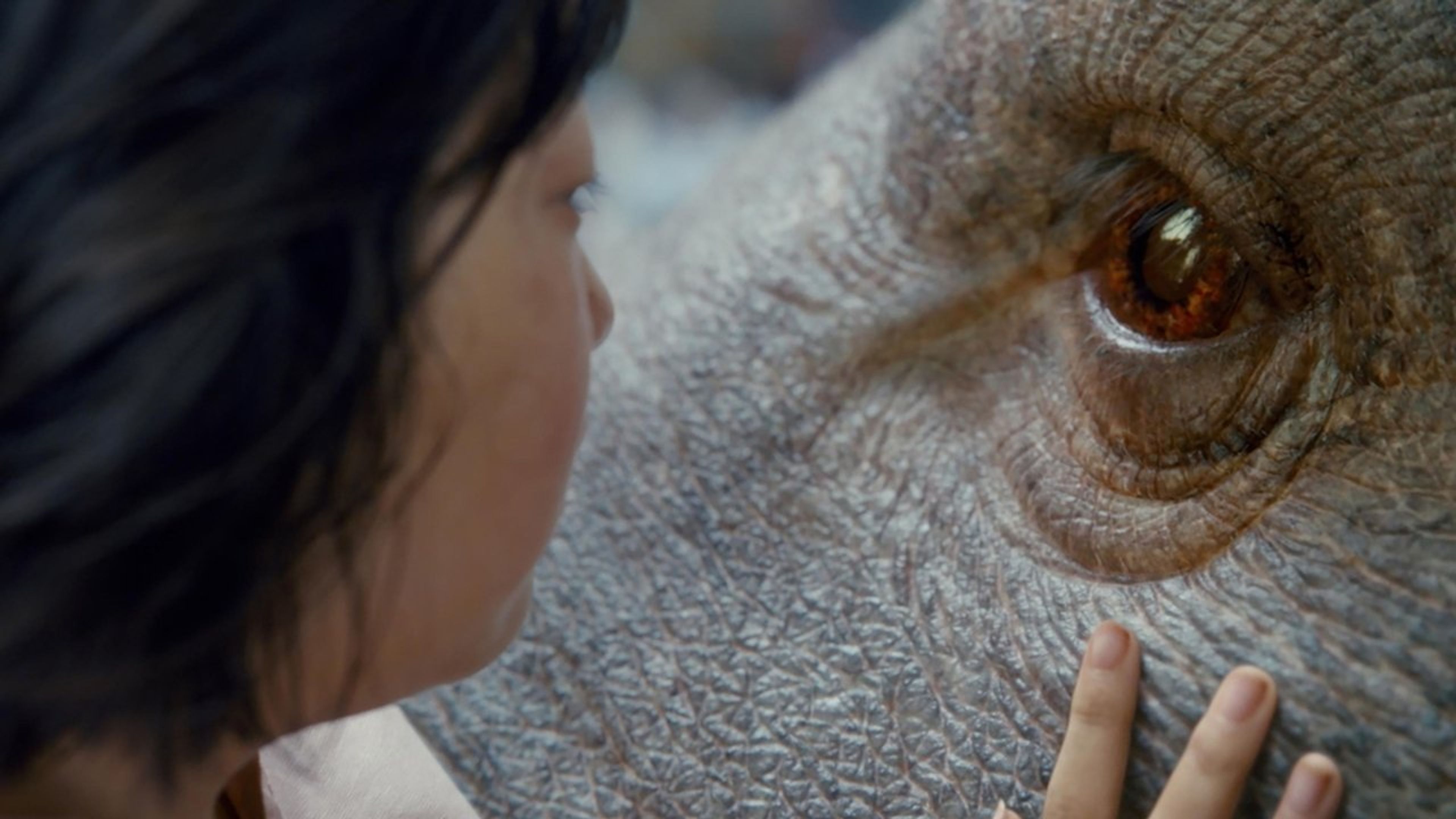 Backdrop of Okja