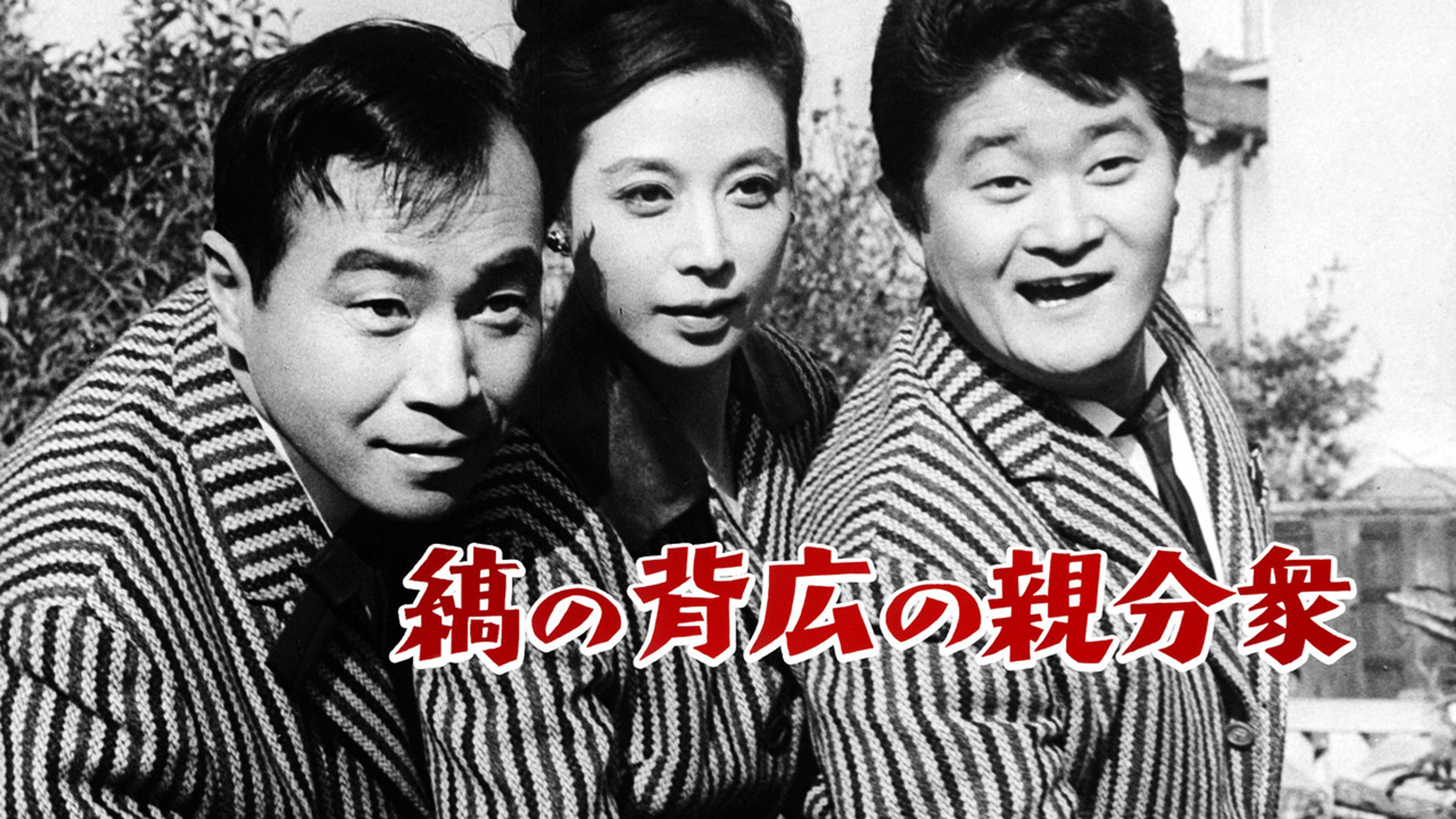 Backdrop of Aces Wild