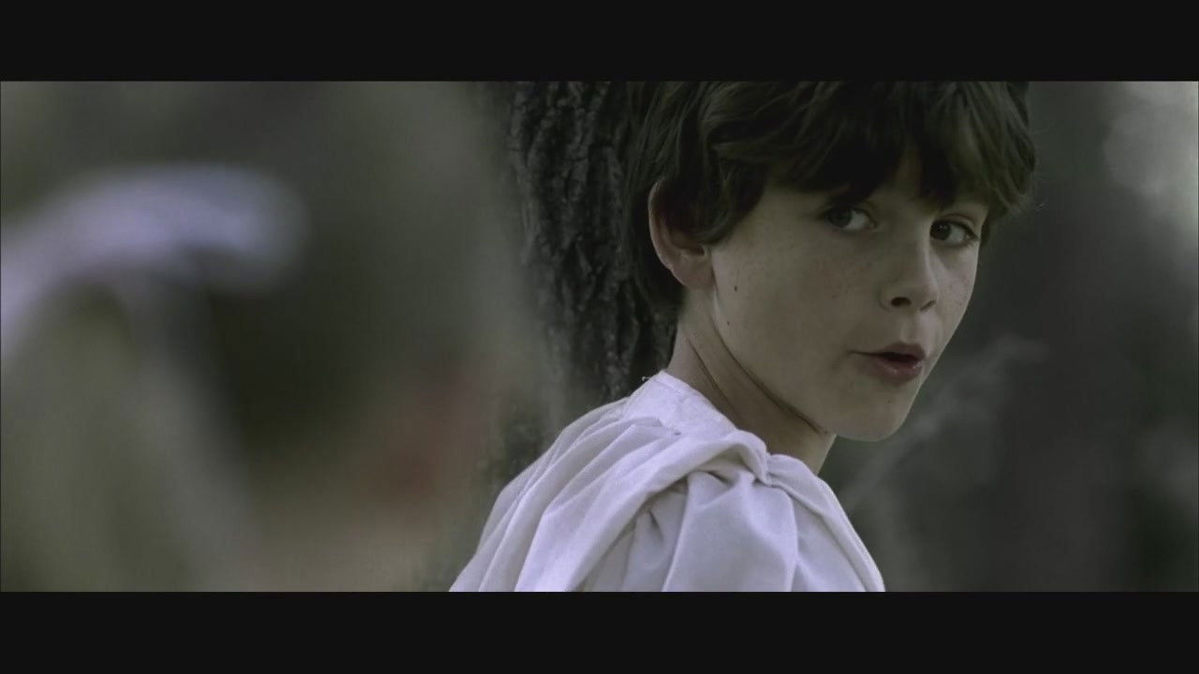 Backdrop of Butcher's Hill