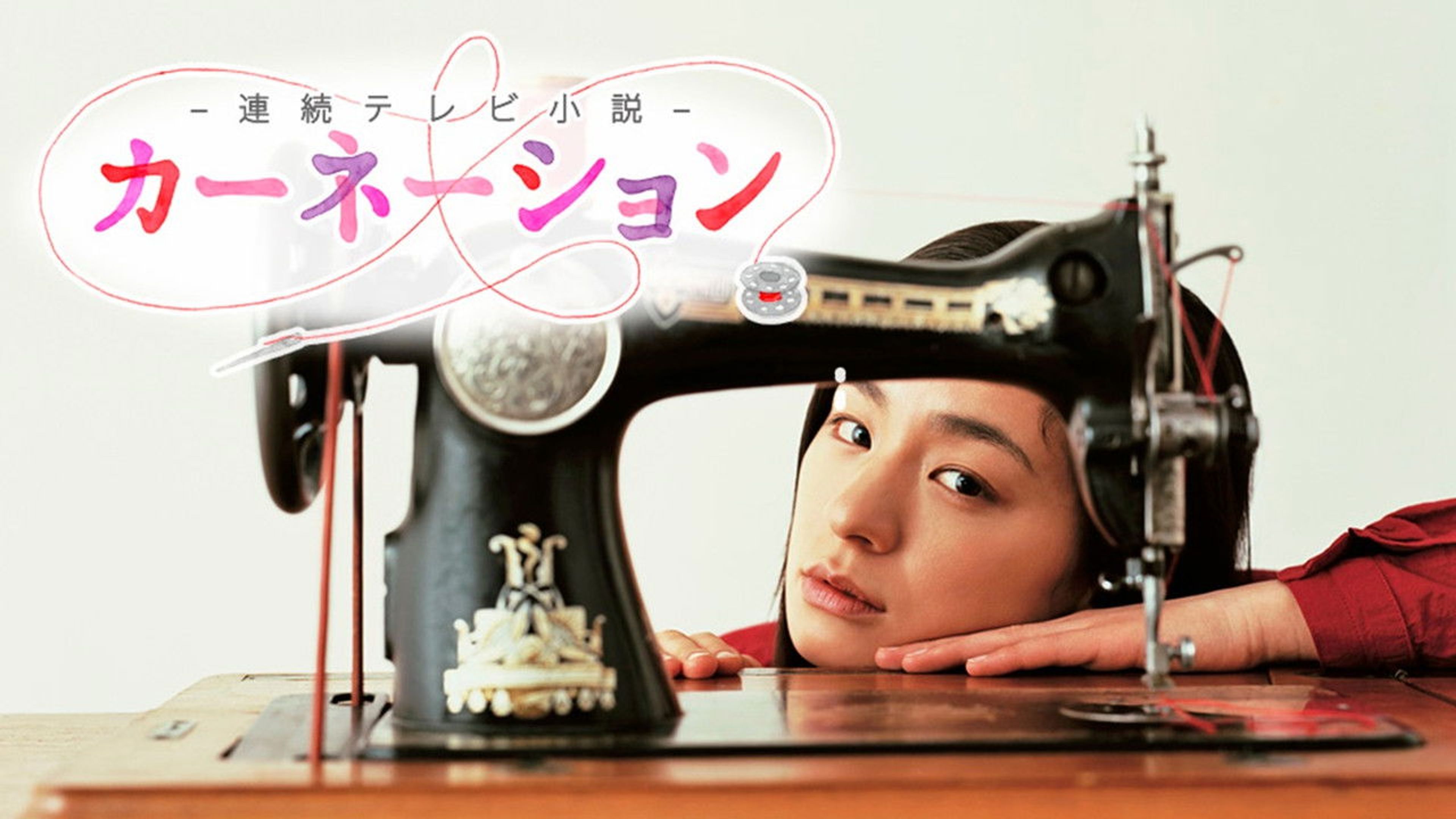 Backdrop of Carnation