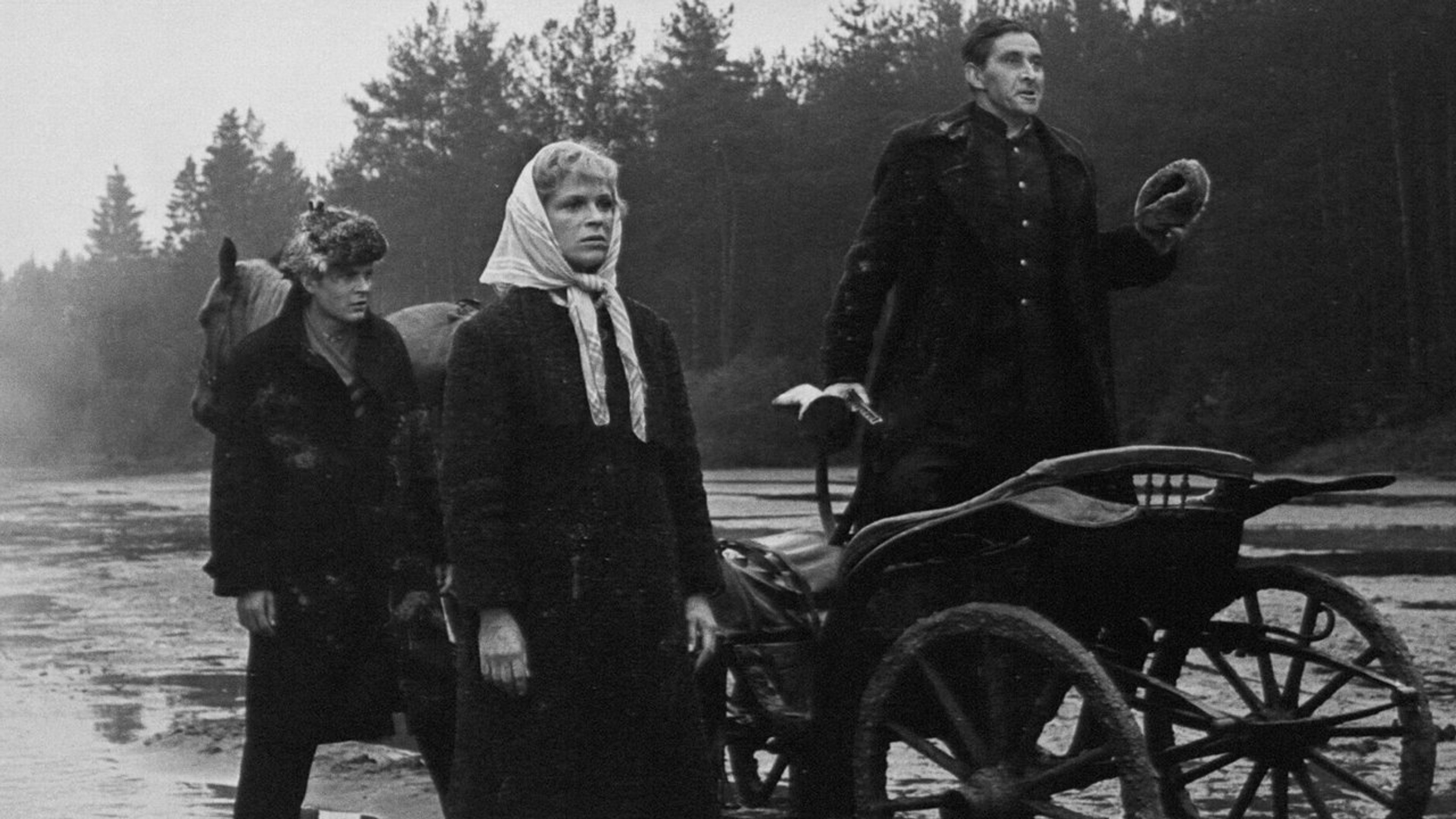 Backdrop of Stairway to Heaven