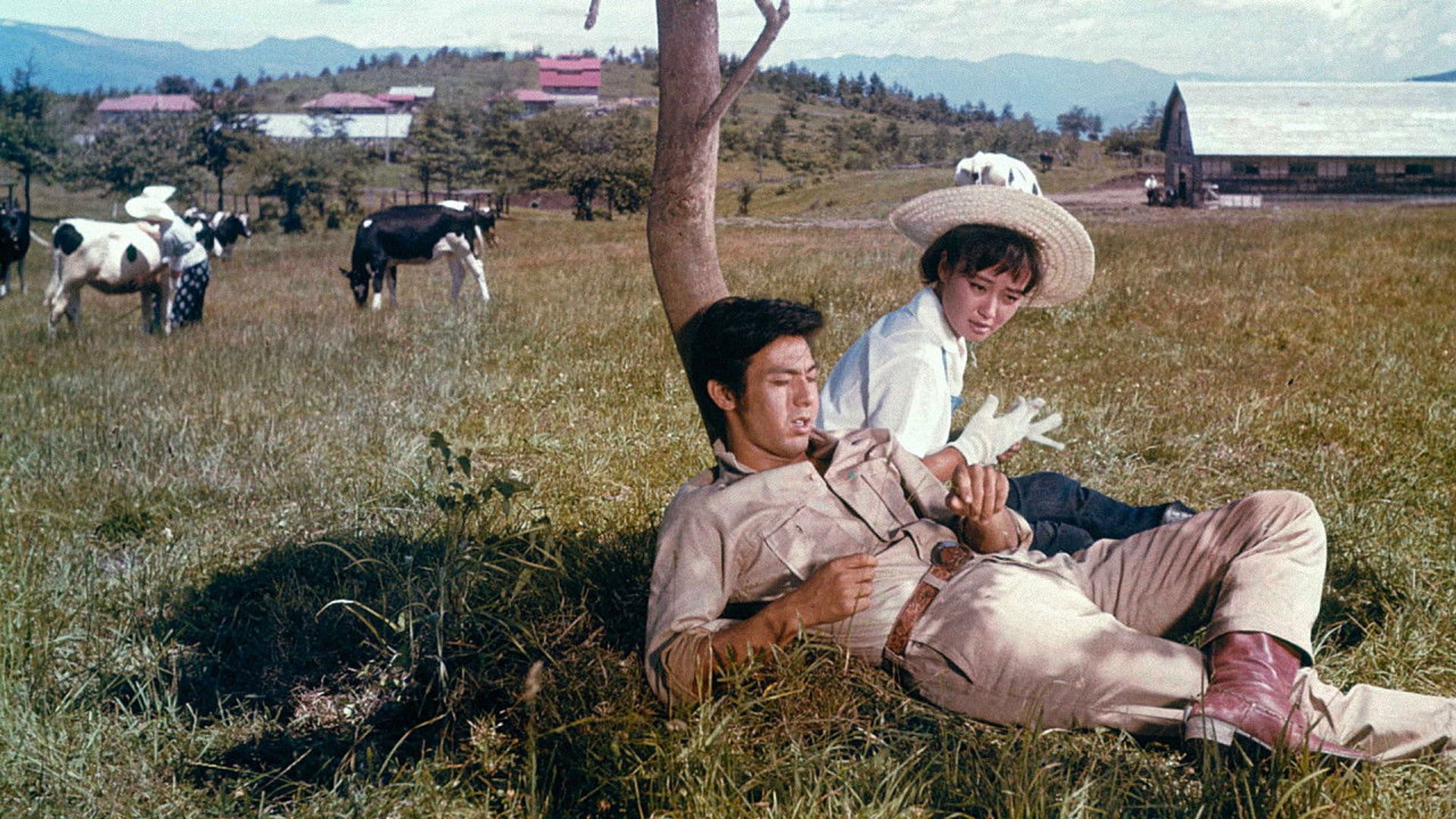 Backdrop of The Crimson Plains