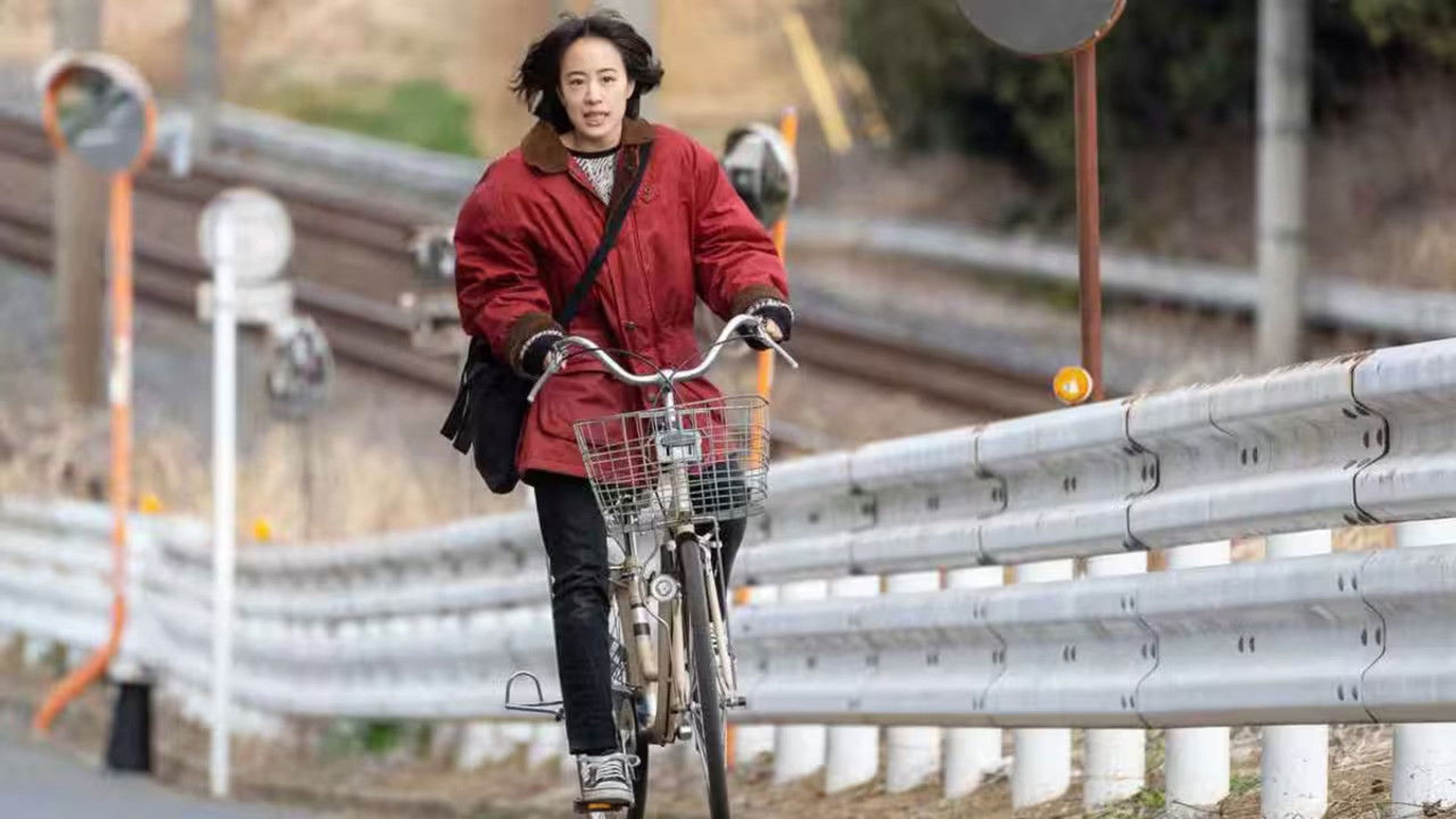 Backdrop of The Swallows Don't Come Back