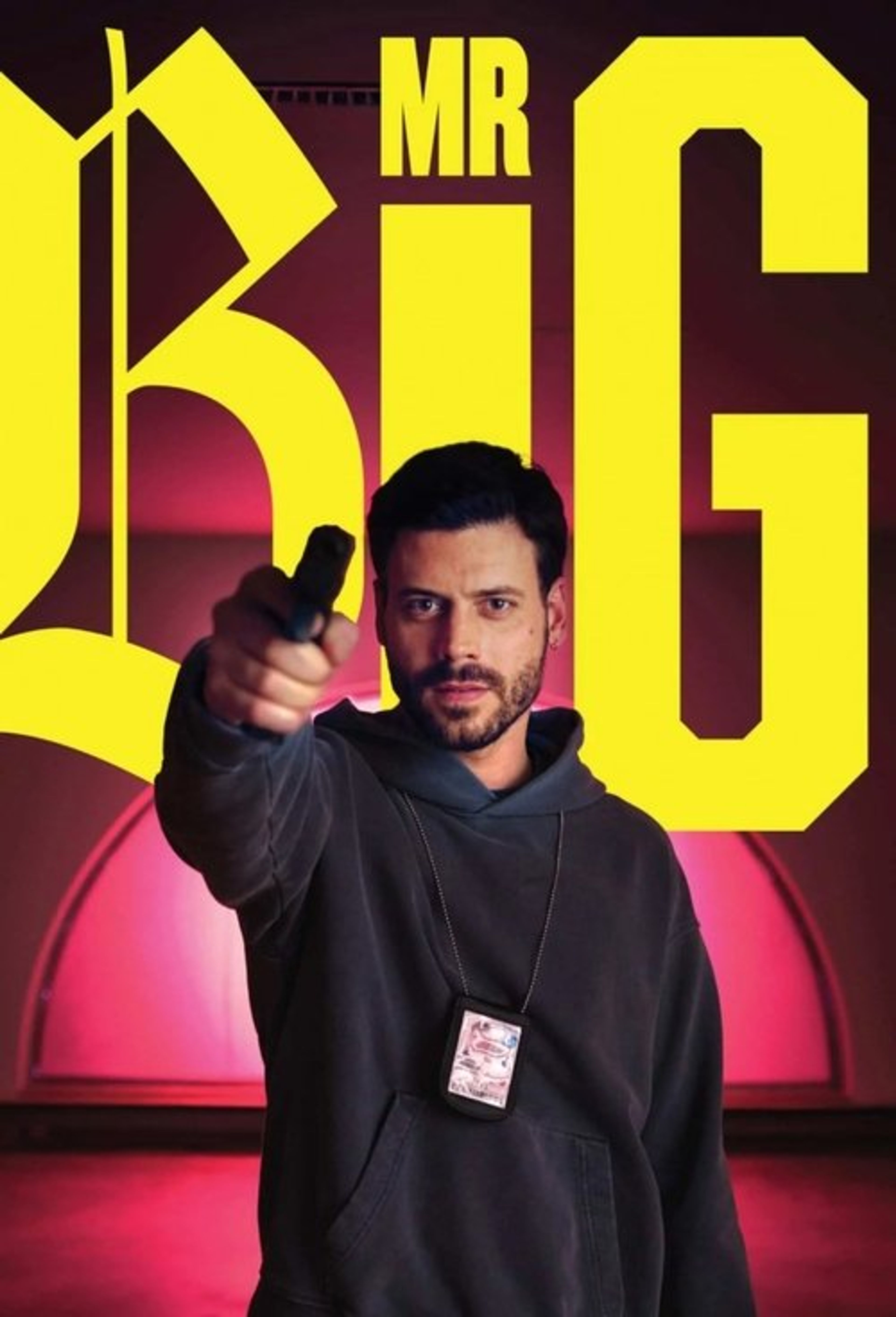 Poster image of MR BIG