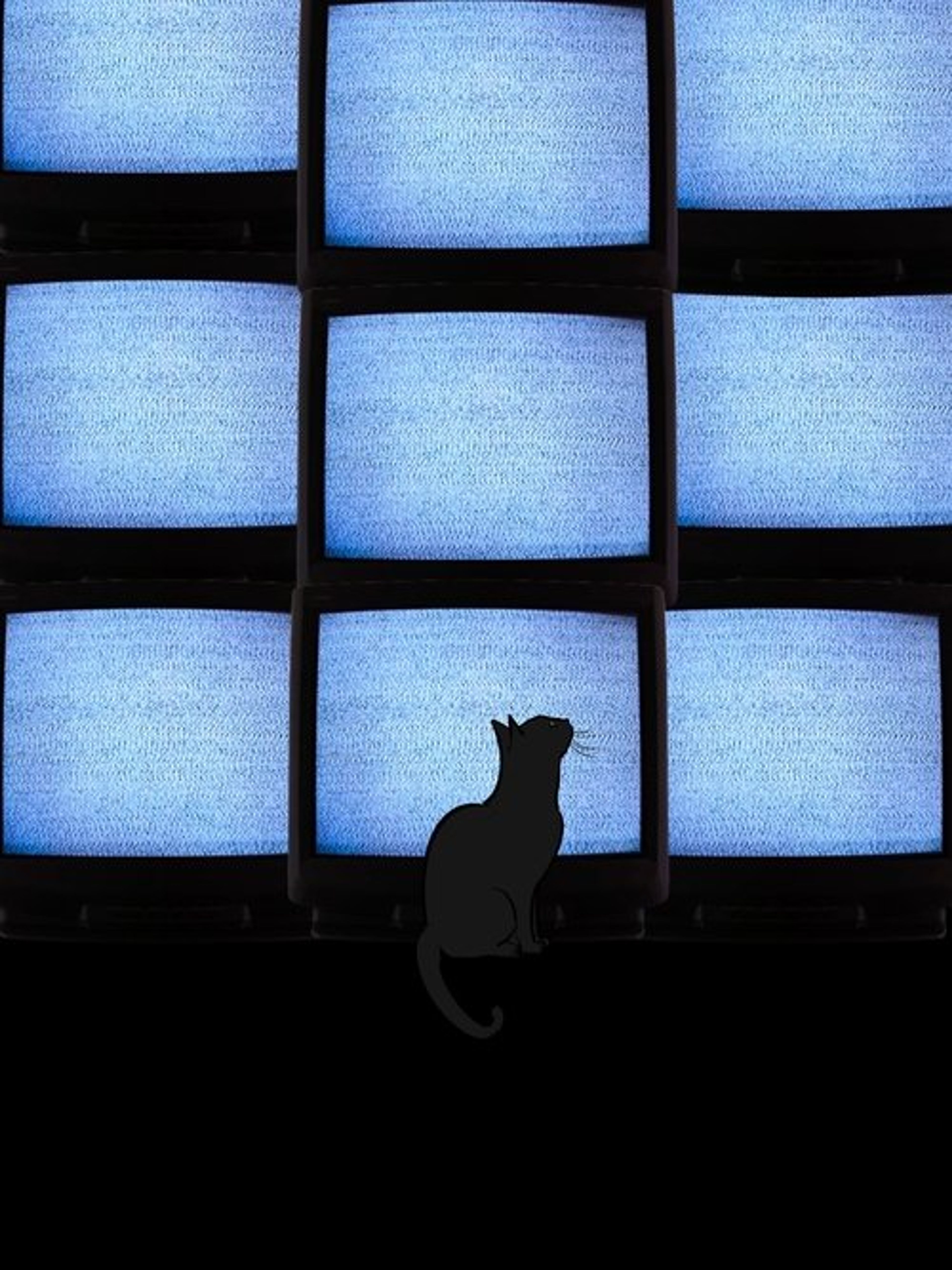 Poster image of The Coolest Guy In School