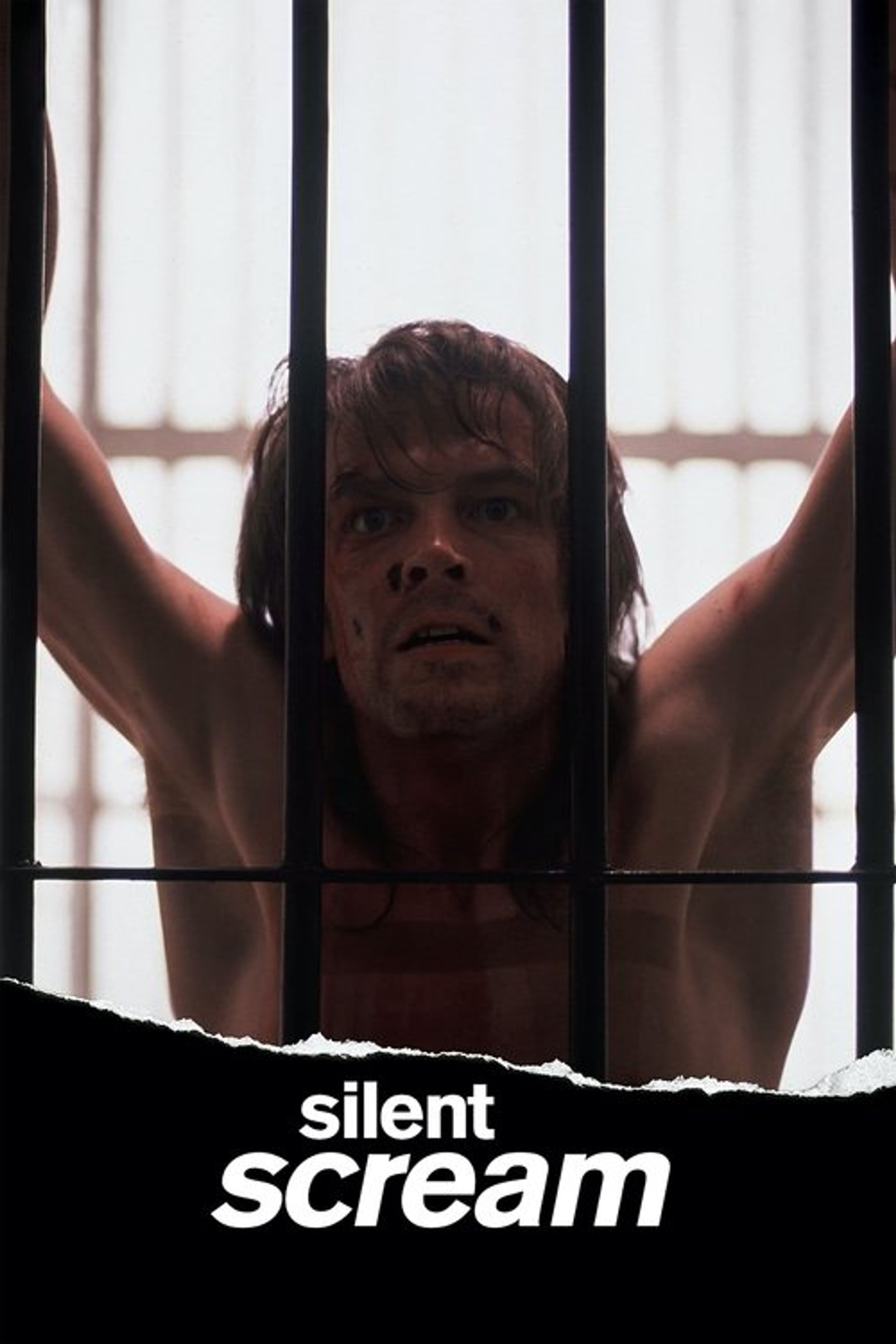 Poster image of Silent Scream