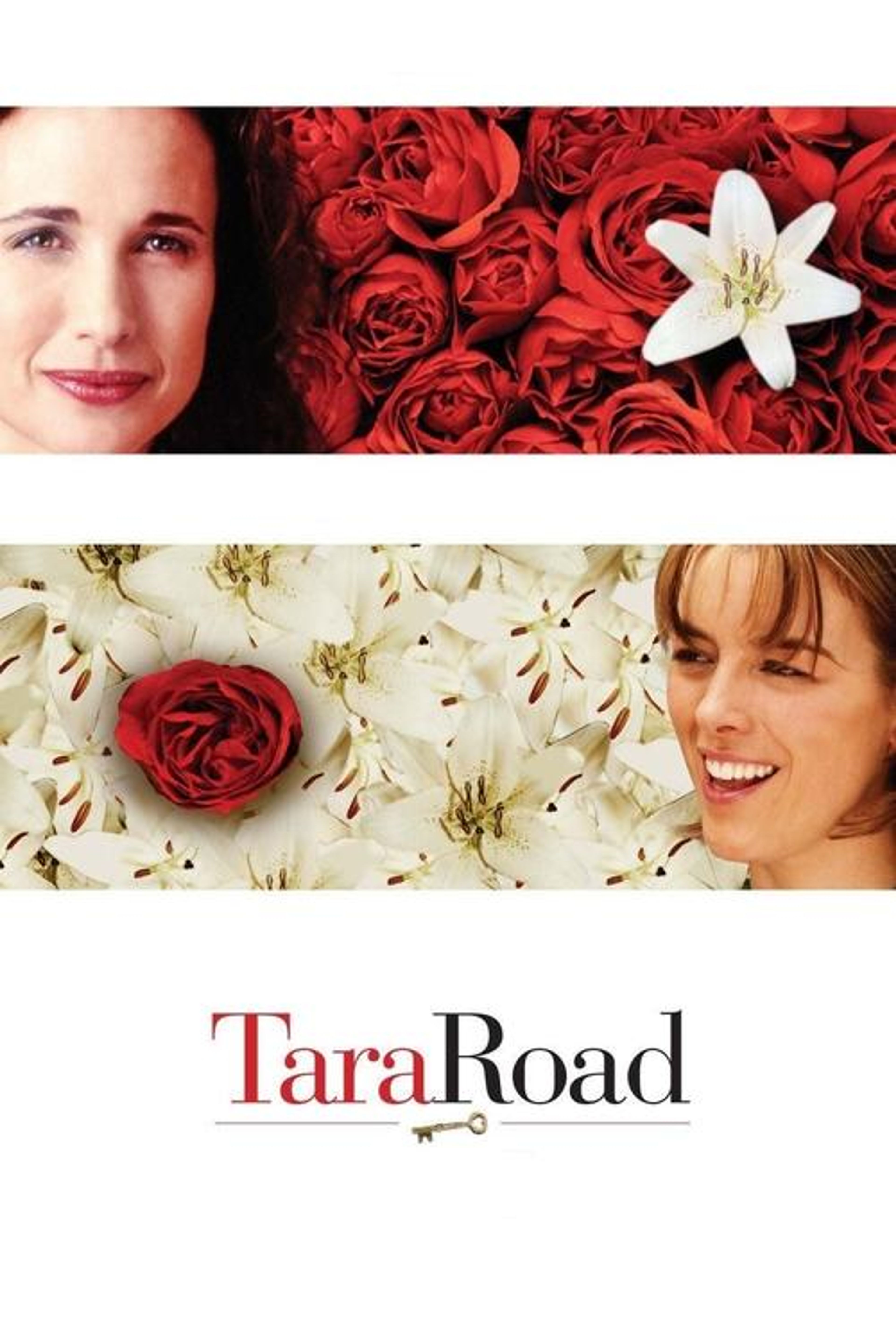 Poster image of Tara Road