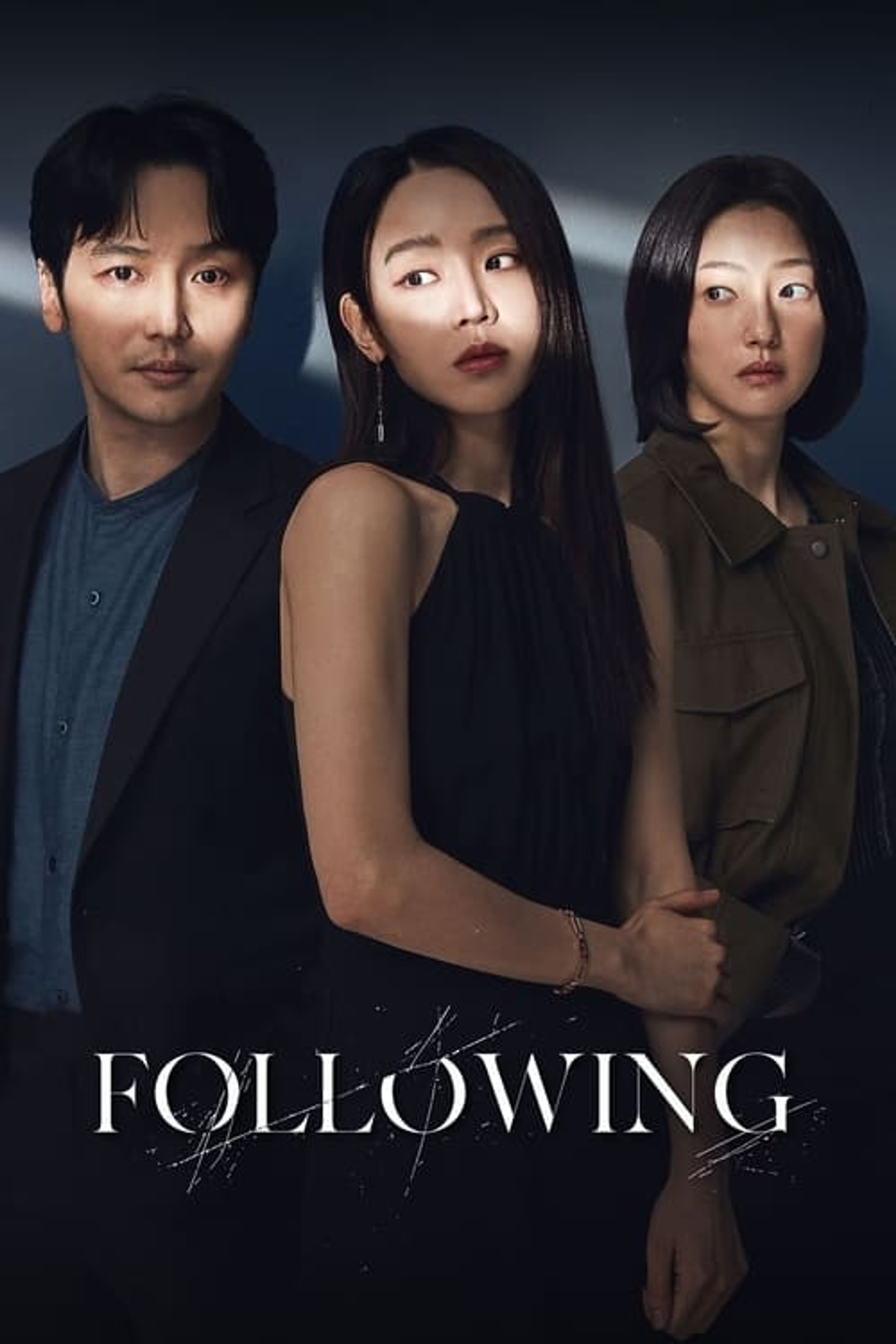 Poster image of Following