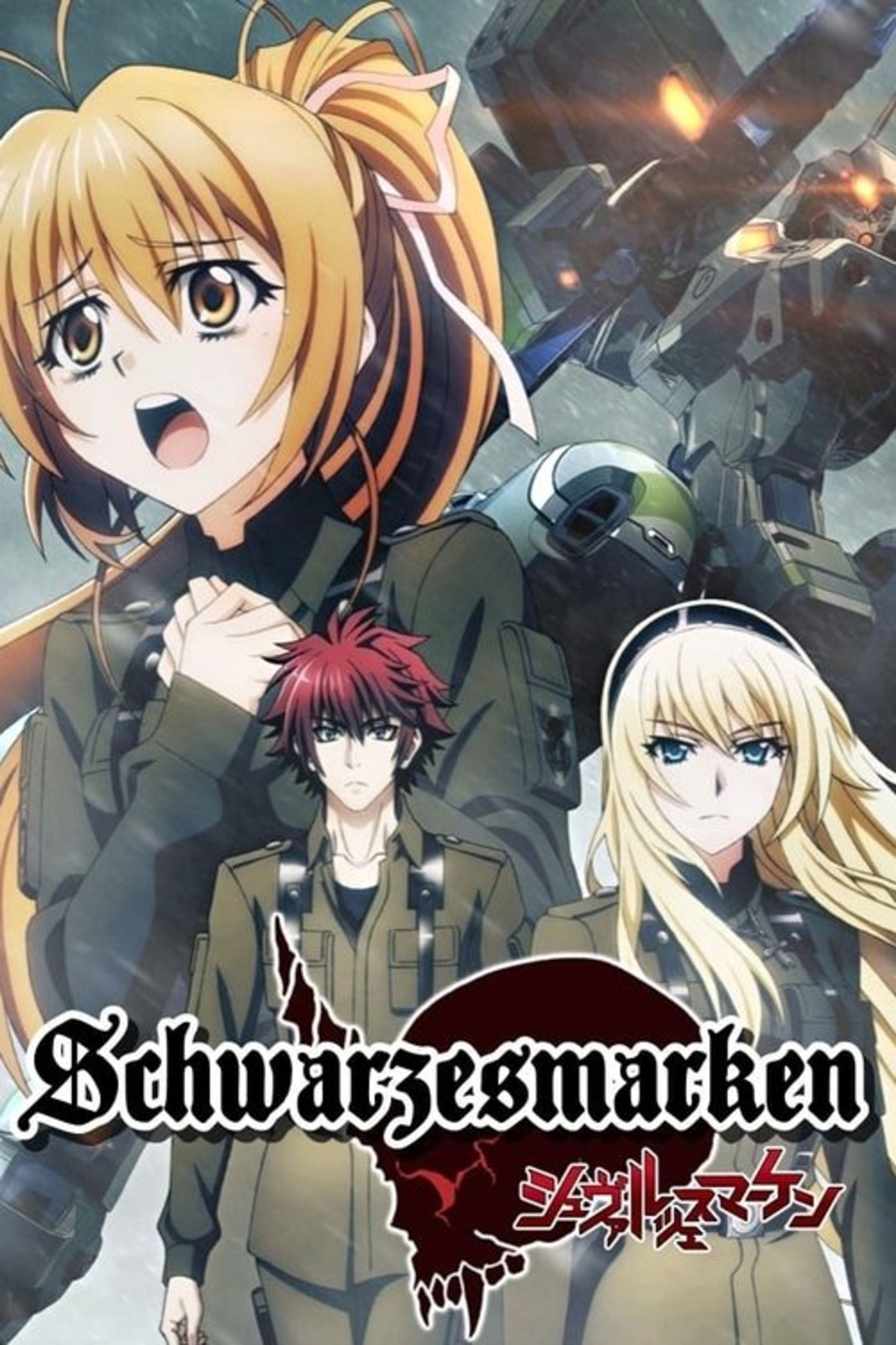 Poster image of Schwarzes Marken