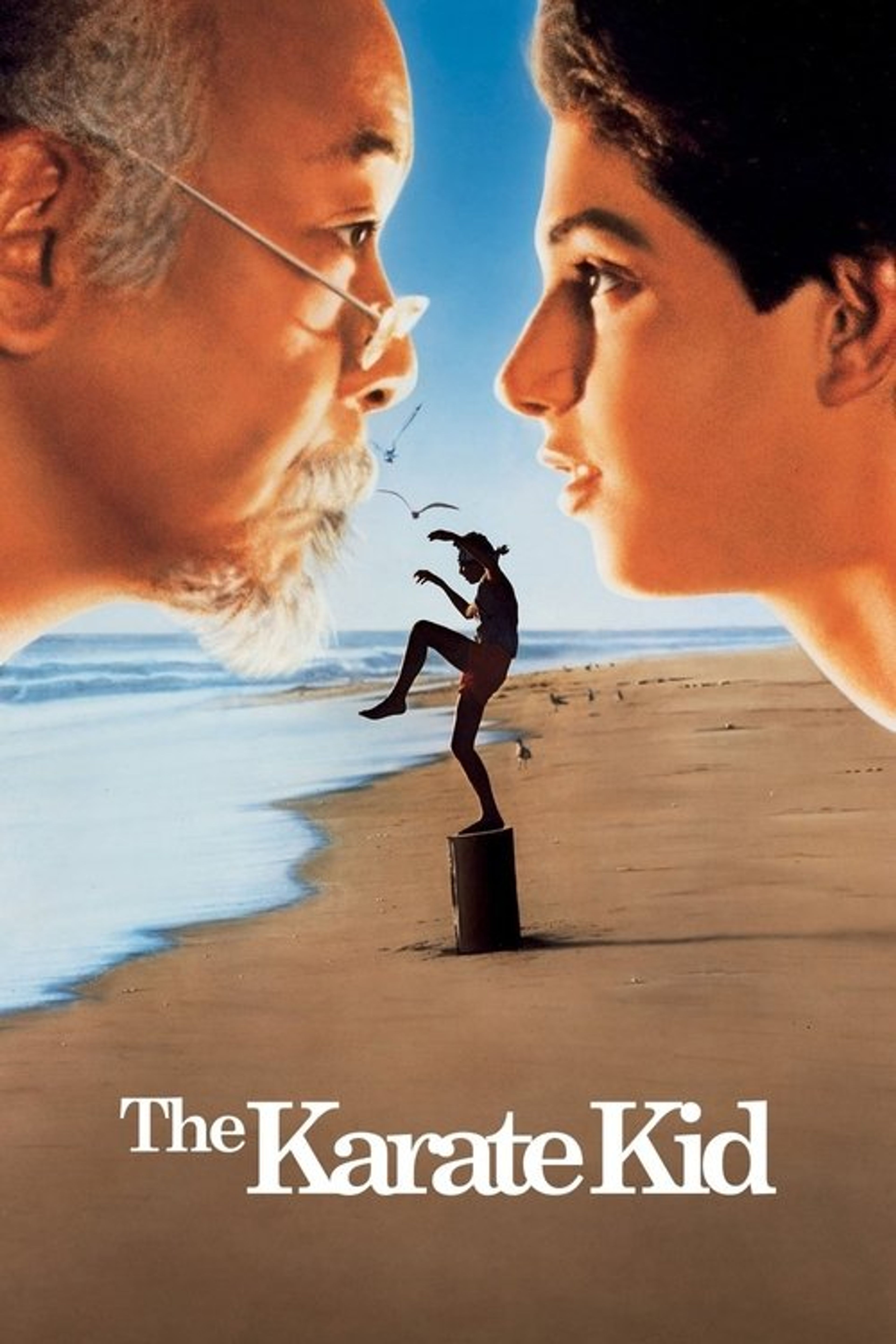 Poster image of The Karate Kid