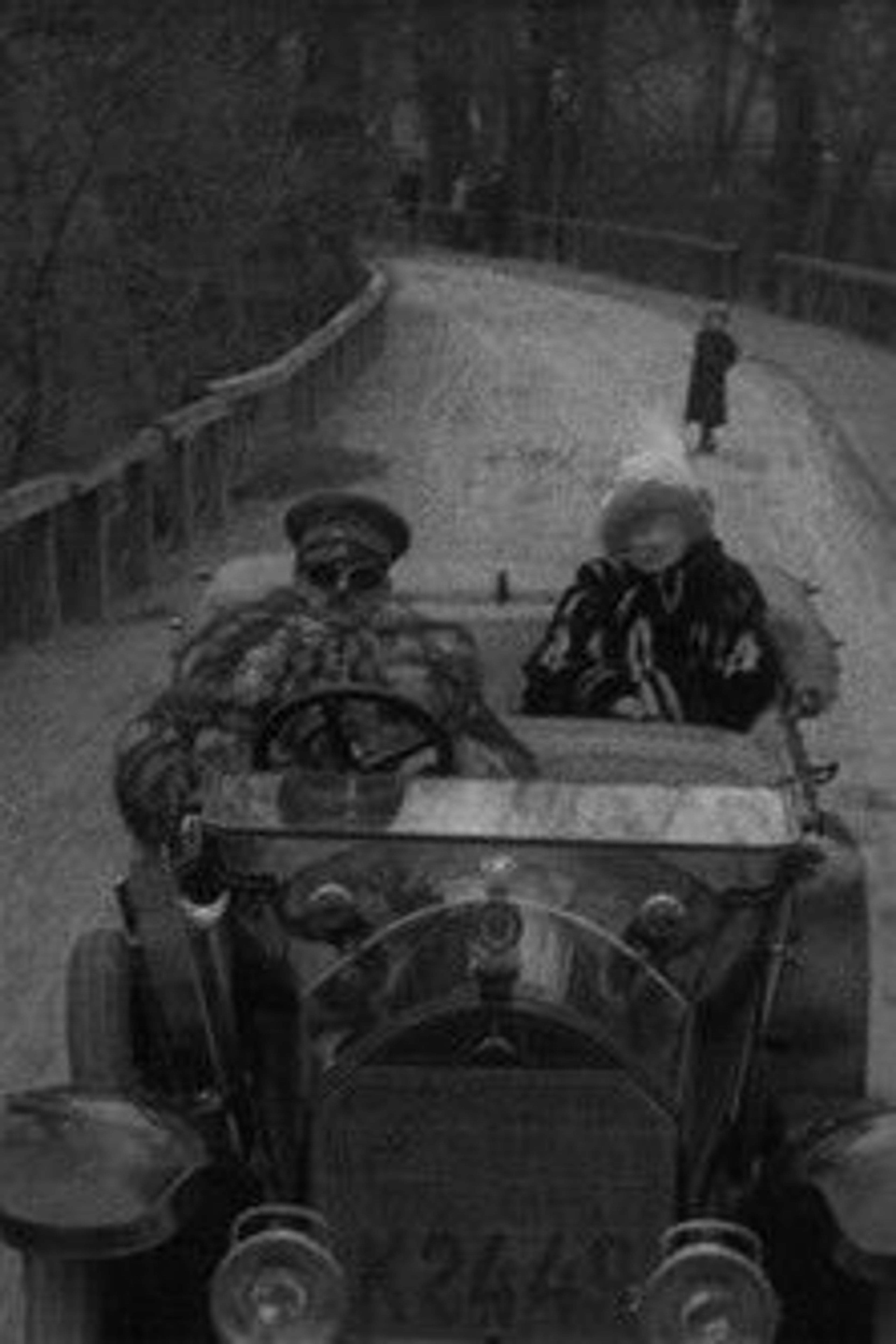 Poster image of Count Dahlbog's Secret