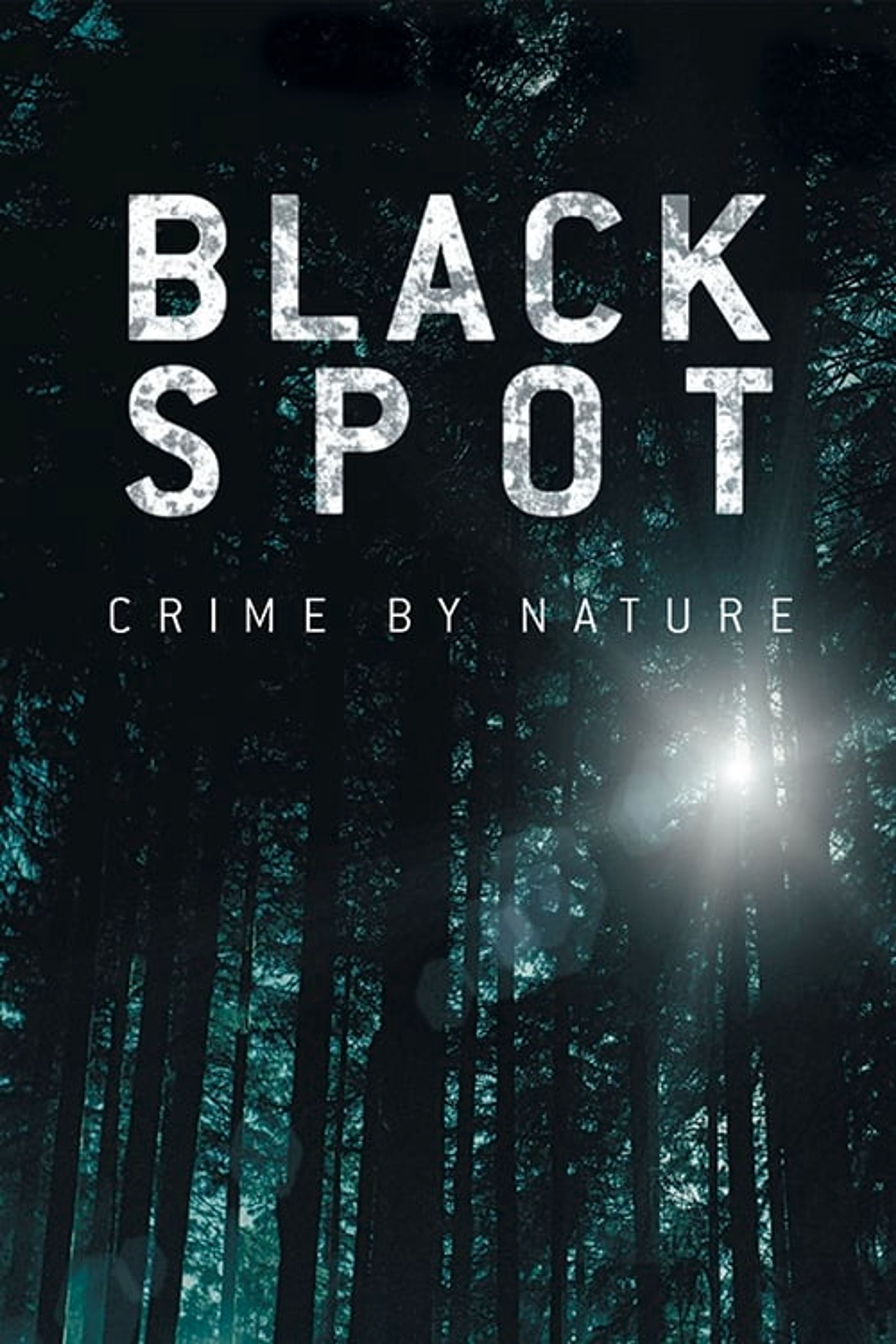 Poster image of Black Spot